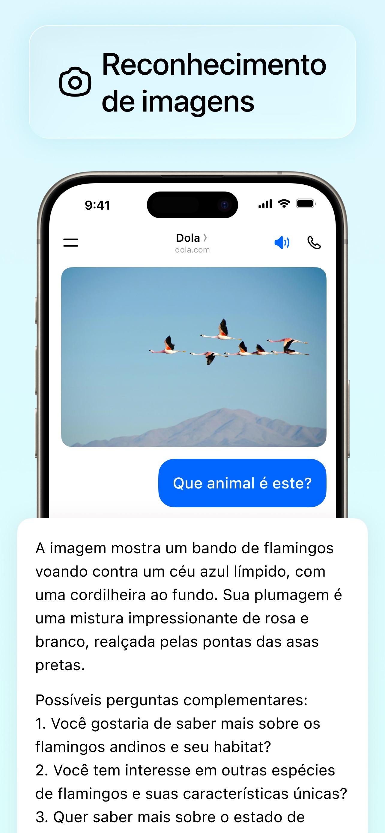 Captura de ecrã 4 da app Dola: assist. inteligente (IA)