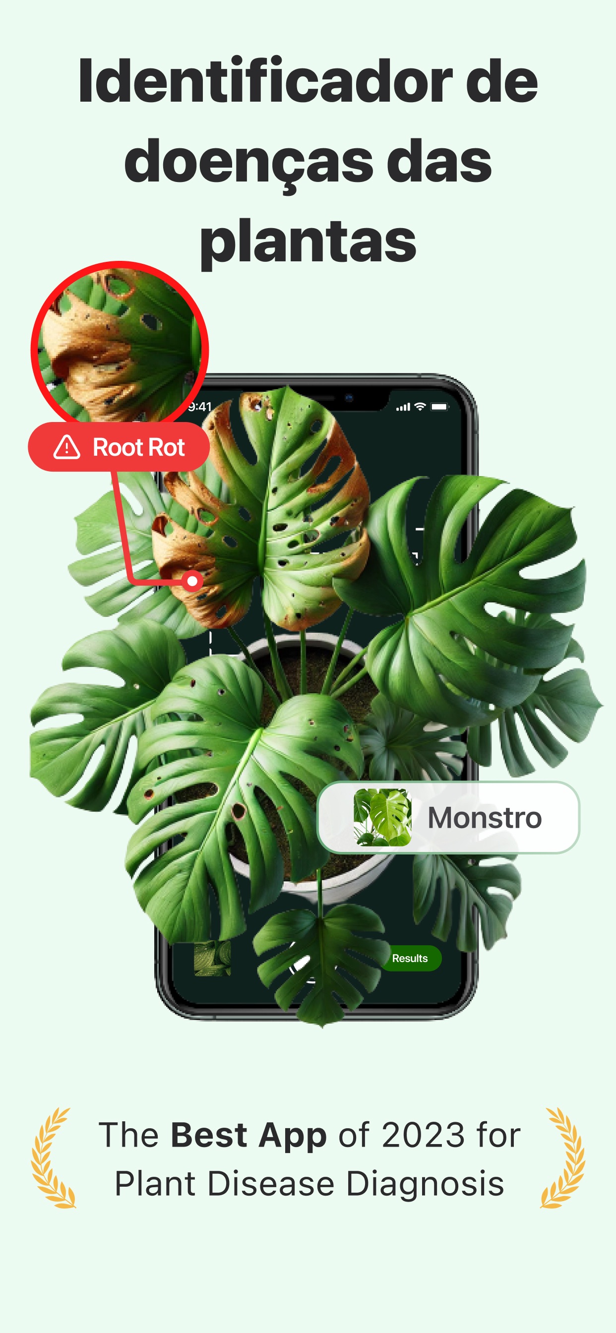 Captura de ecrã 1 da app Identificador de Plantas - PDI
