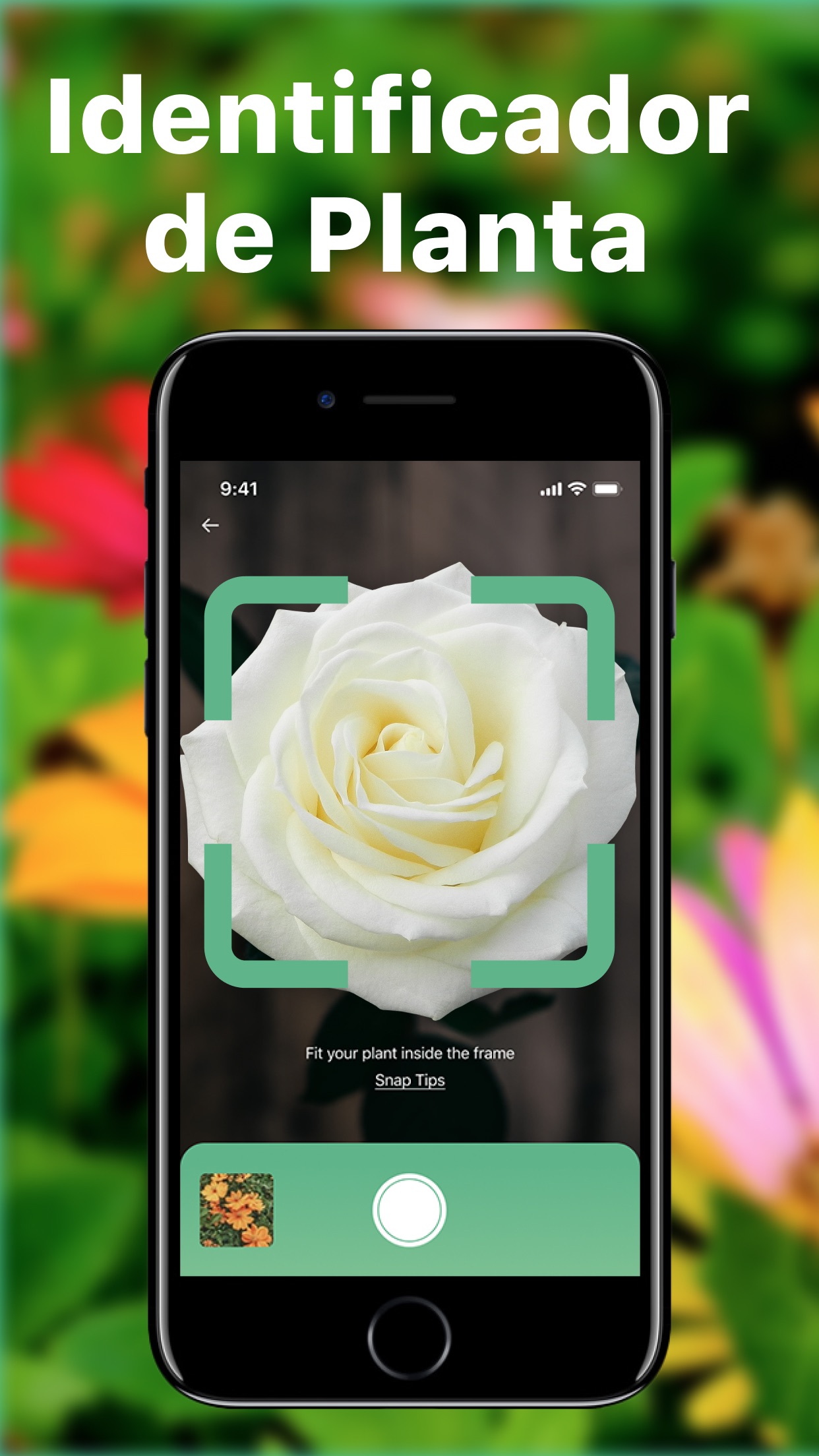 Captura de ecrã 1 da app Plantr - Reconhecer Plantas