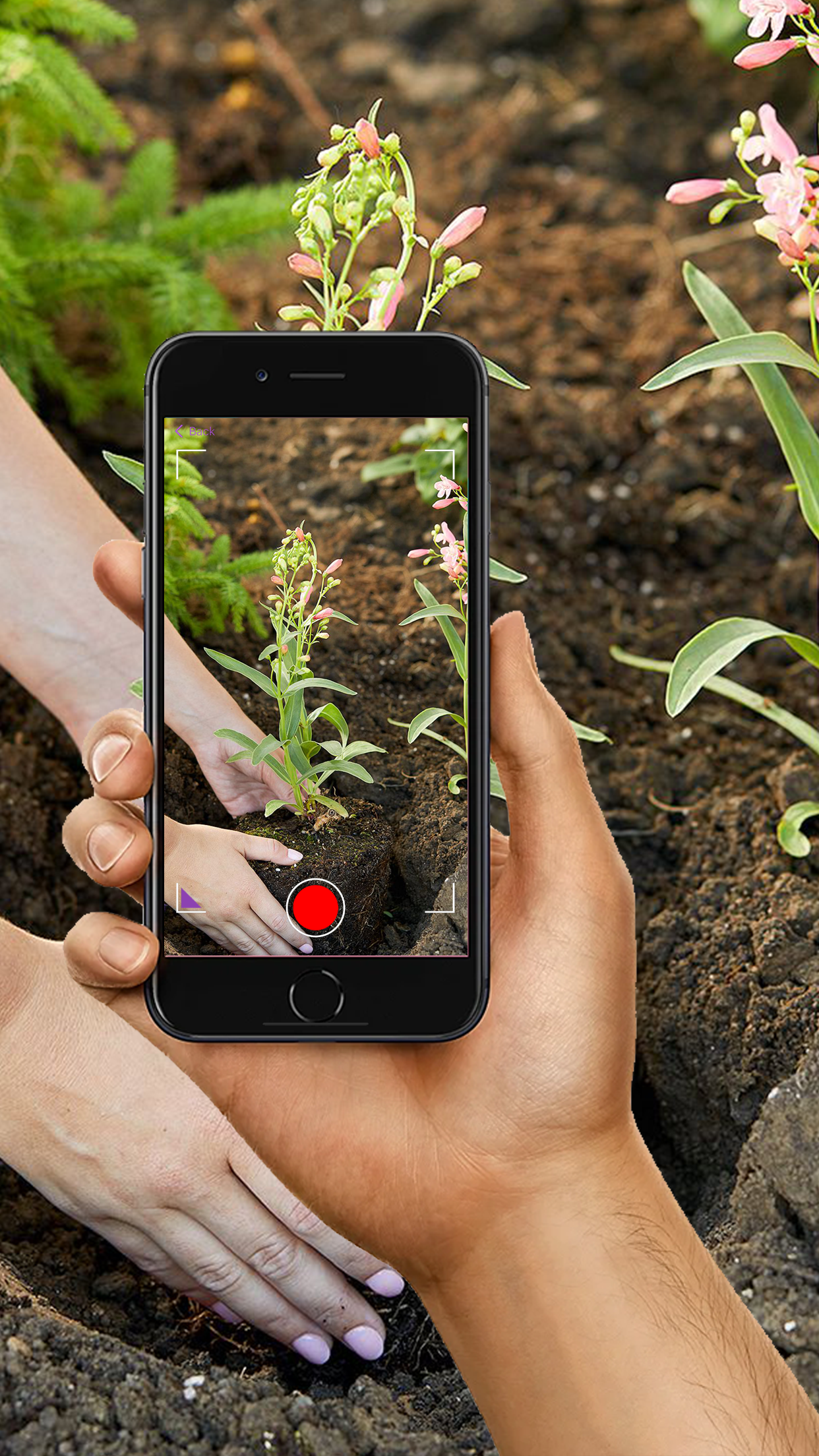 Captura de ecrã 2 da app PlantMe