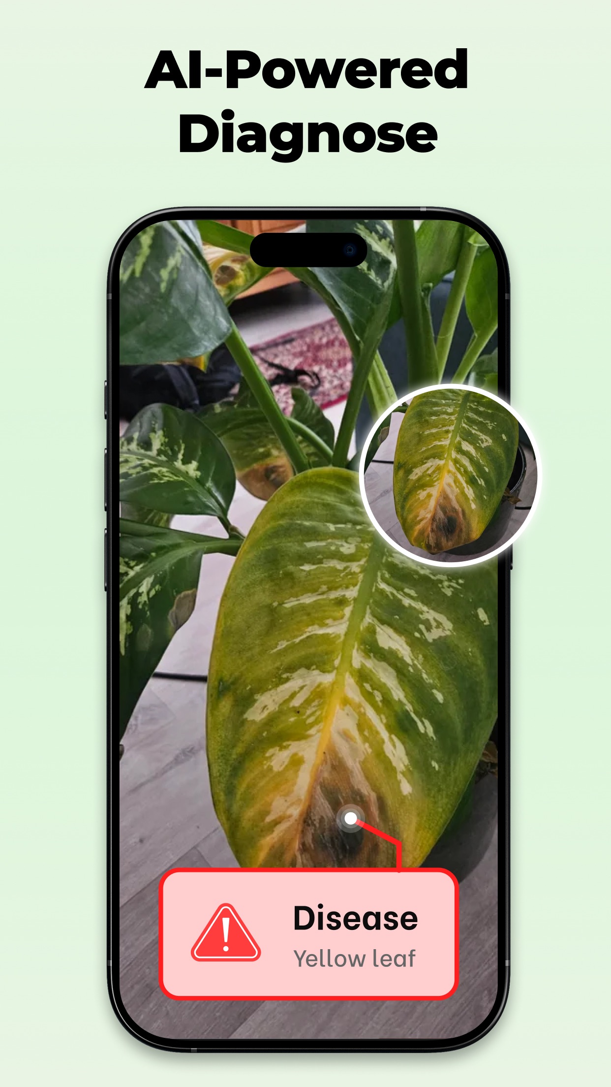 Captura de ecrã 2 da app My Plant: Identifier & Care