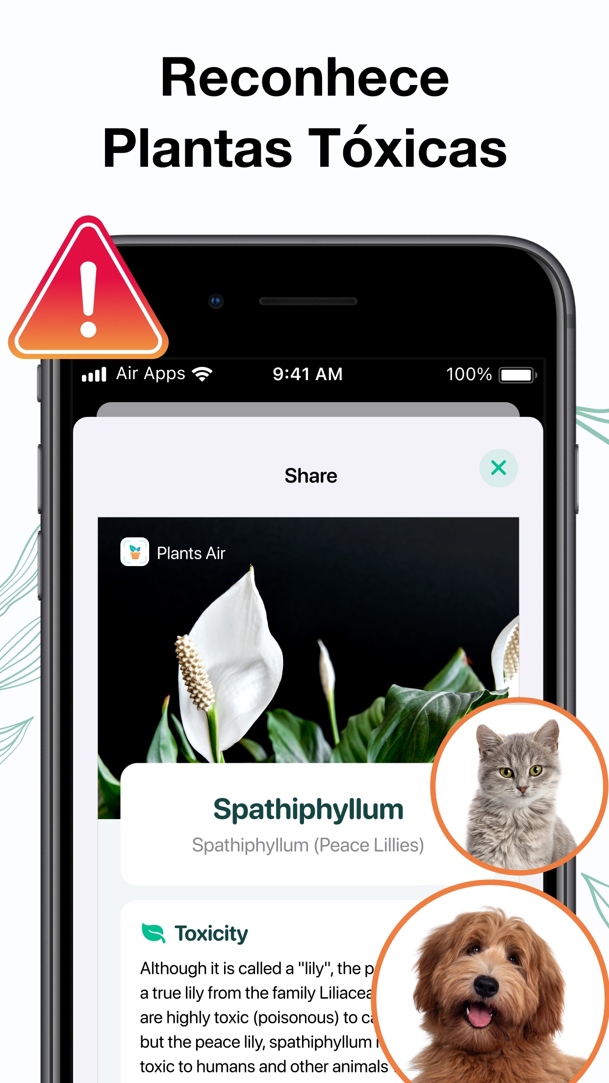 Captura de ecrã 2 da app Plants Air: Identifica Plantas