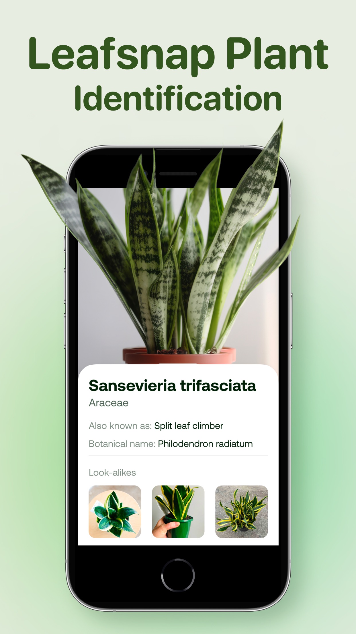 Captura de ecrã 4 da app AI Plant Identifier - Plant ID