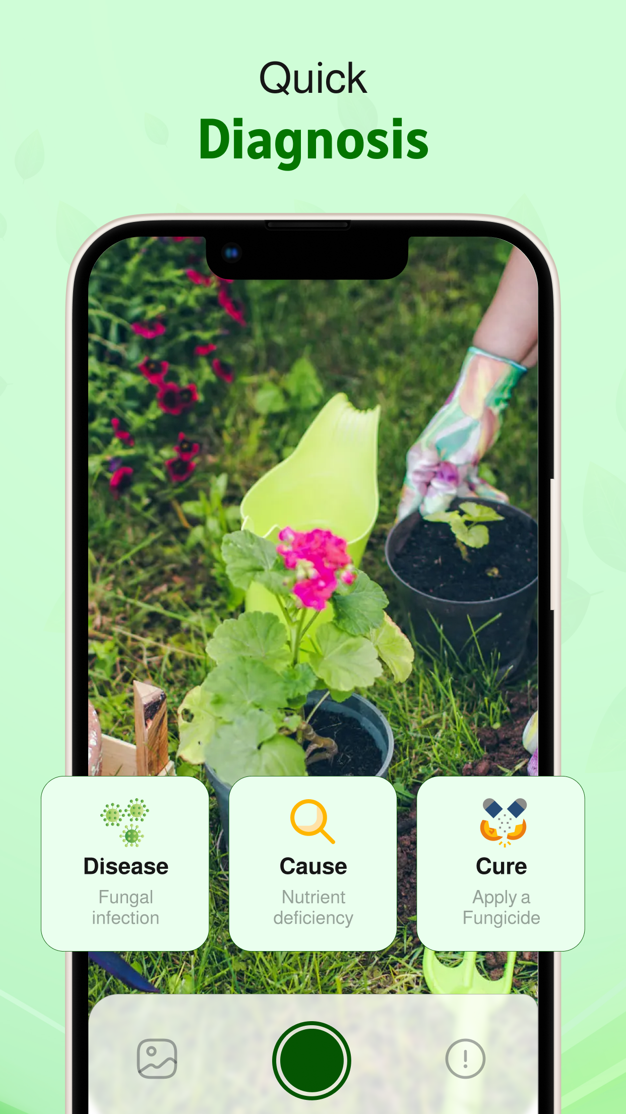 Captura de ecrã 4 da app Plant Identifier &Disease Care