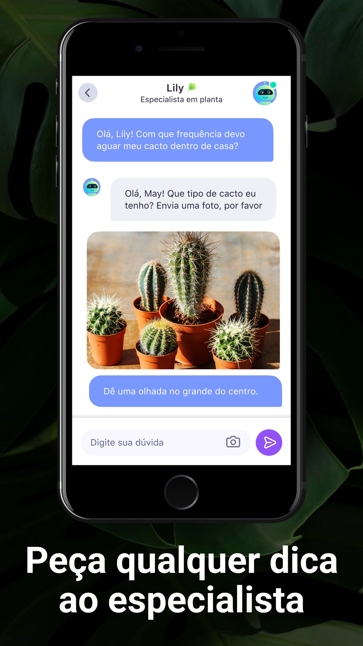 Captura de ecrã 4 da app Lily: Identificador de plantas