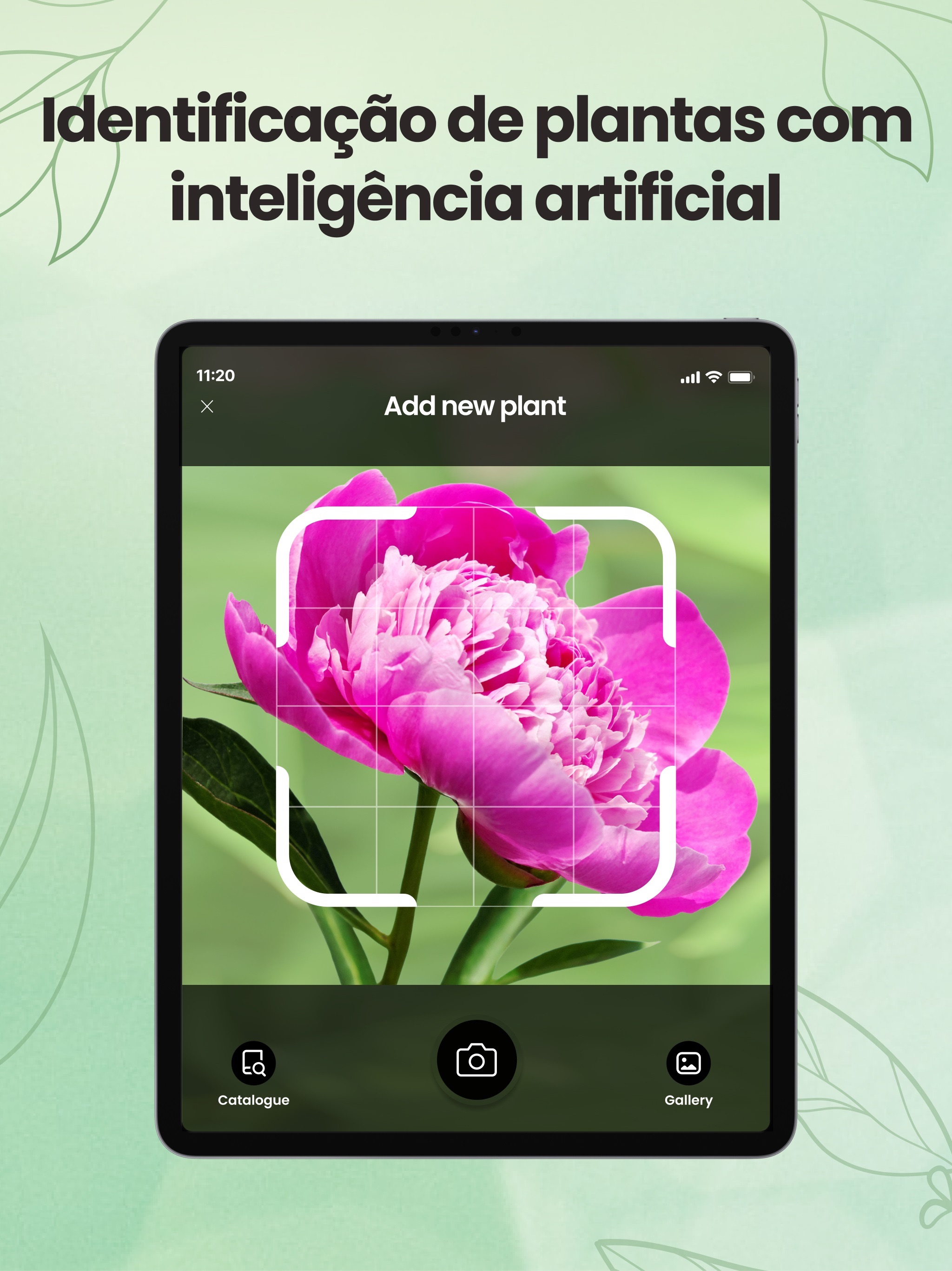 Captura de ecrã 1 da app Identificador－Plantas e Flores