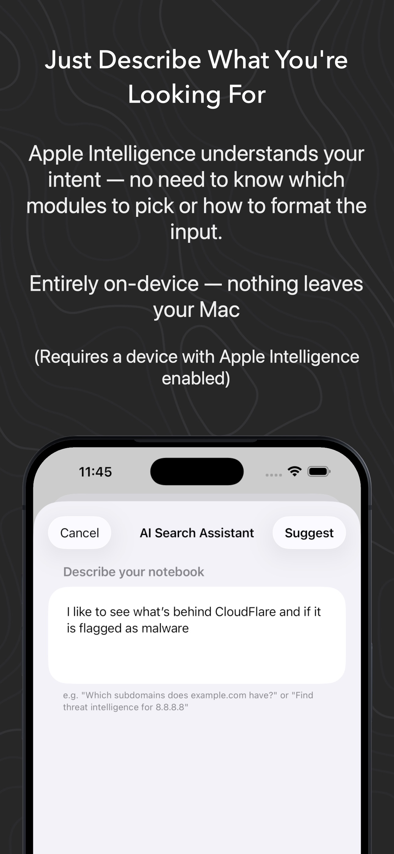 Captura de ecrã 4 da app OSINT Toolbox