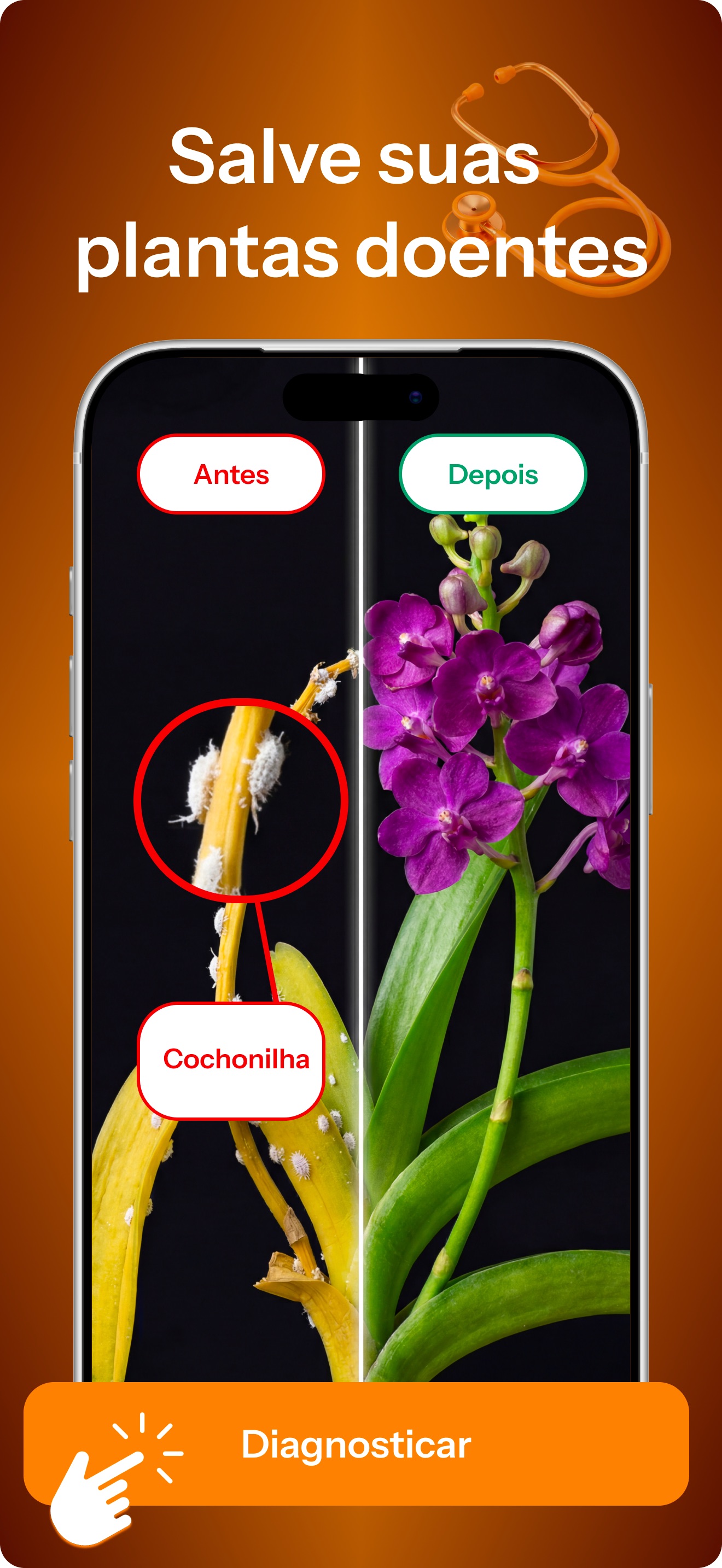 Captura de ecrã 2 da app Floralens: Identificar Planta