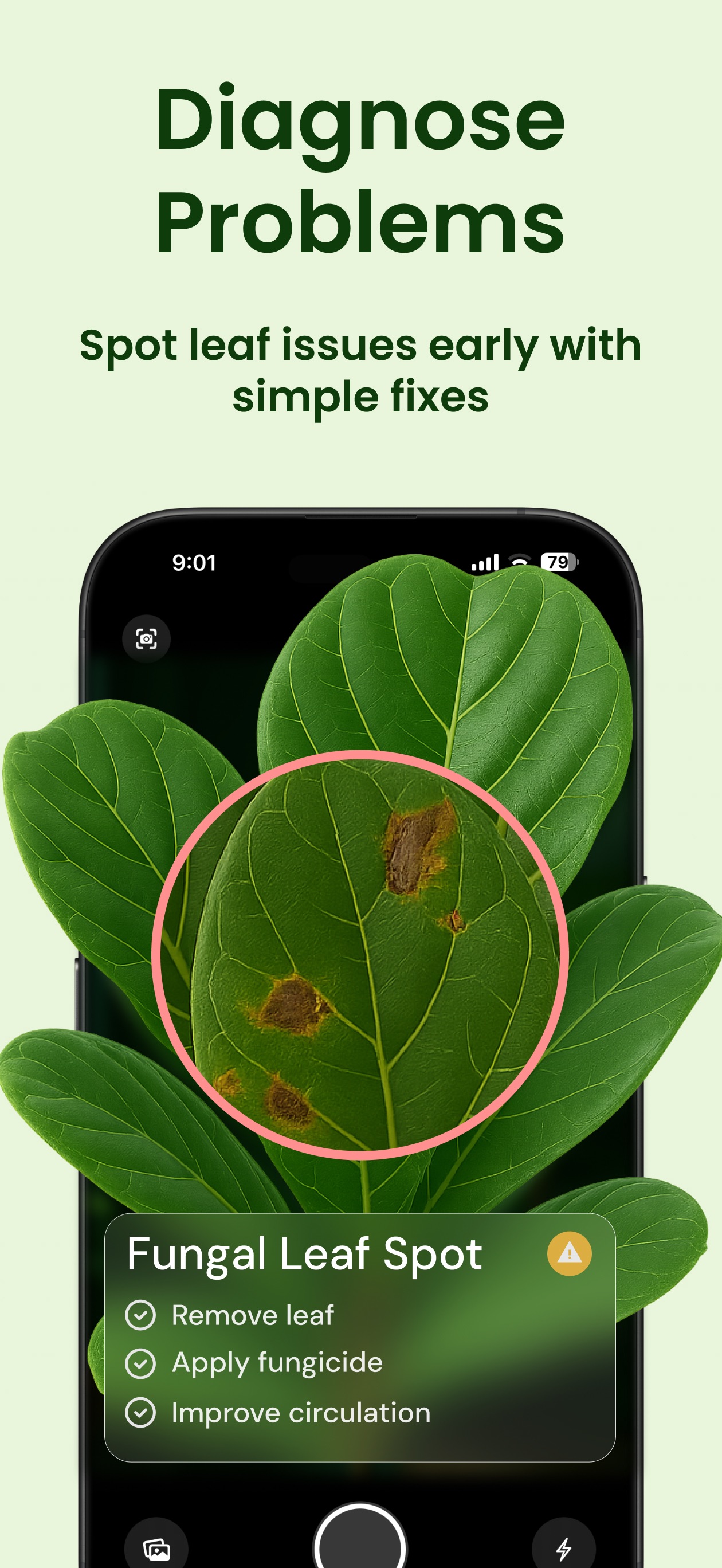 Captura de ecrã 2 da app Planthy: Plant ID & Care Guide
