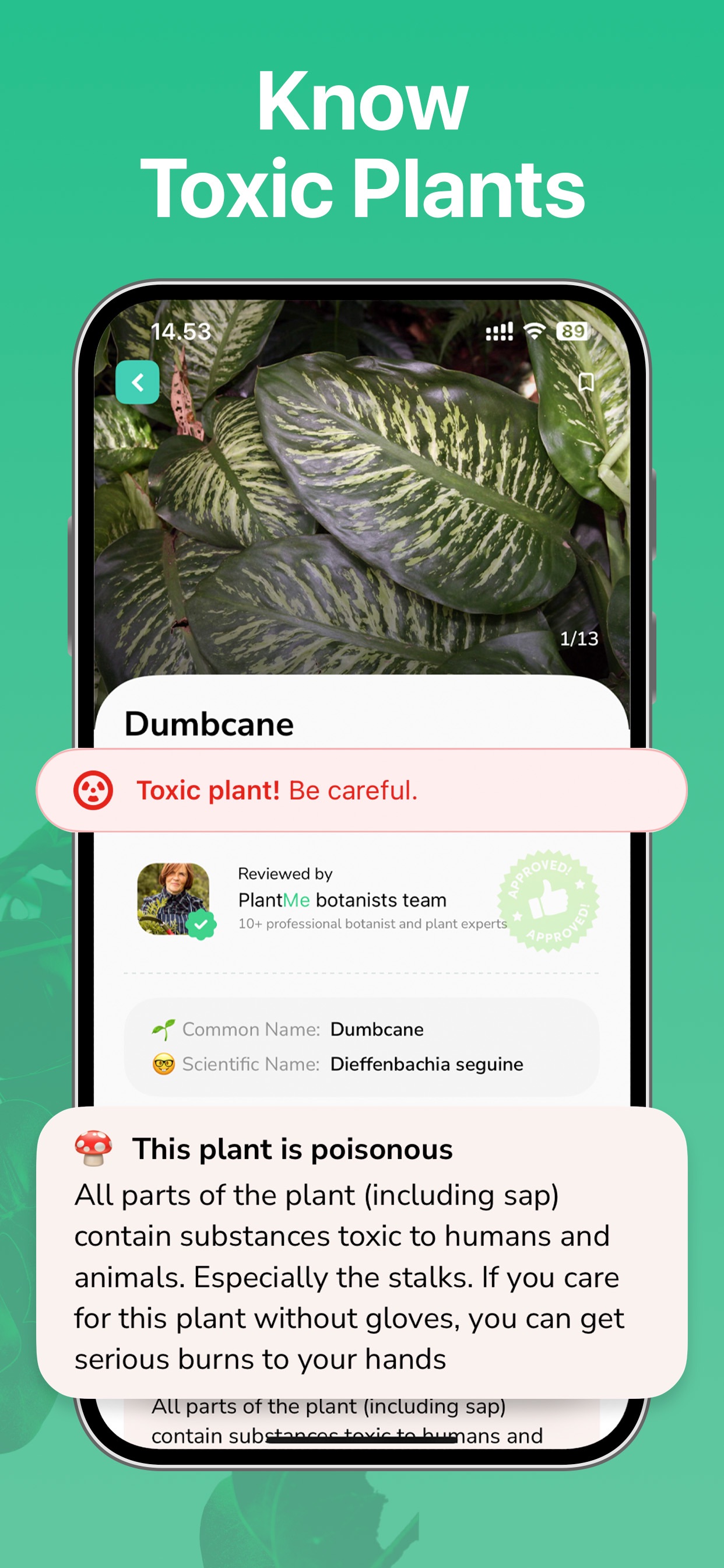 Captura de ecrã 4 da app Identificador de Plantas ·