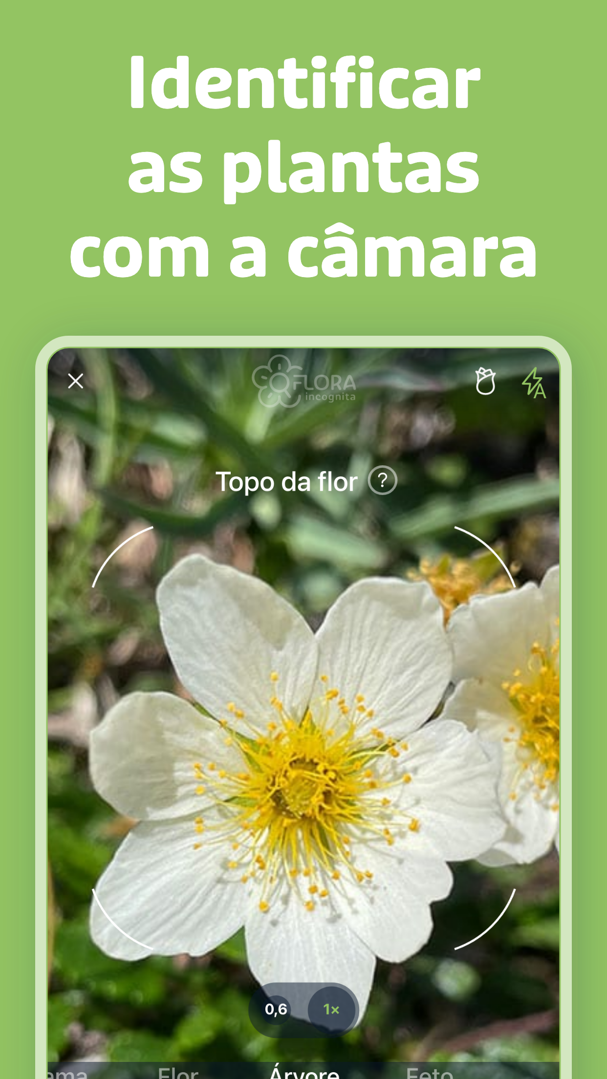 Captura de ecrã 2 da app Flora Incognita