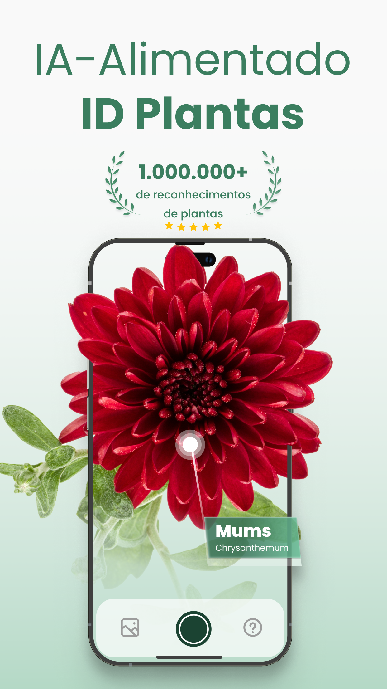 Captura de ecrã 1 da app Plantify: Identificar Plantas