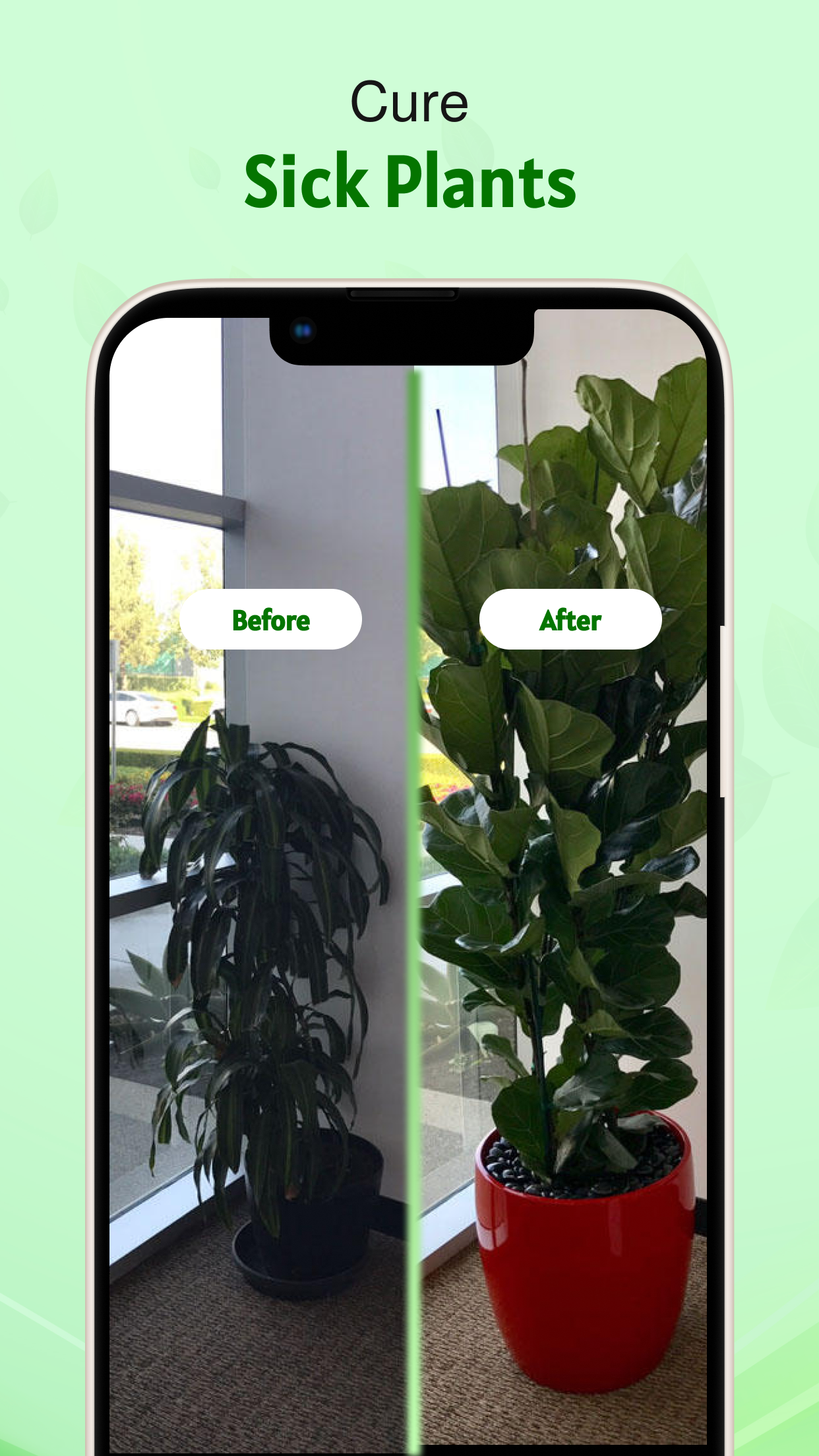 Captura de ecrã 3 da app Plant Identifier &Disease Care