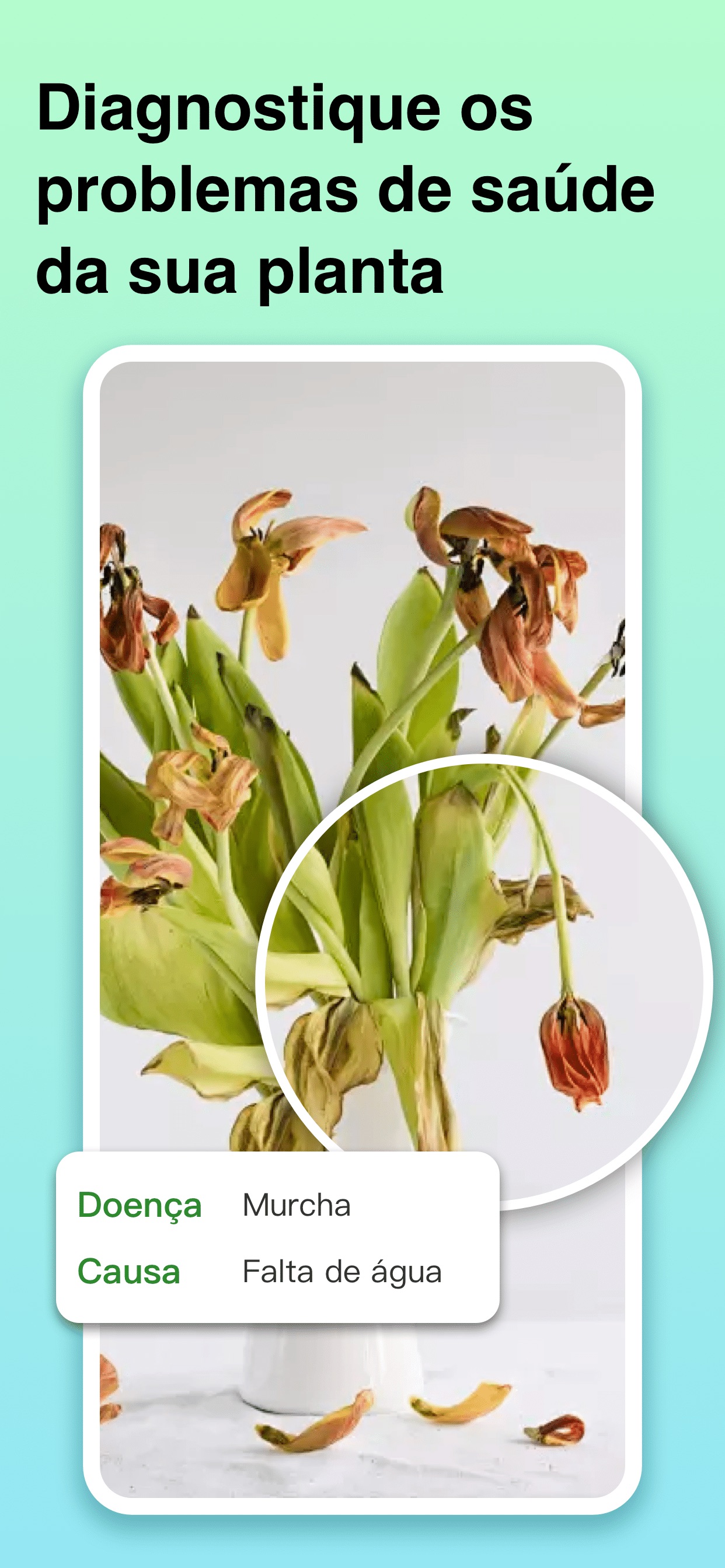 Captura de ecrã 3 da app Plant Identifier: ChatPlant AI