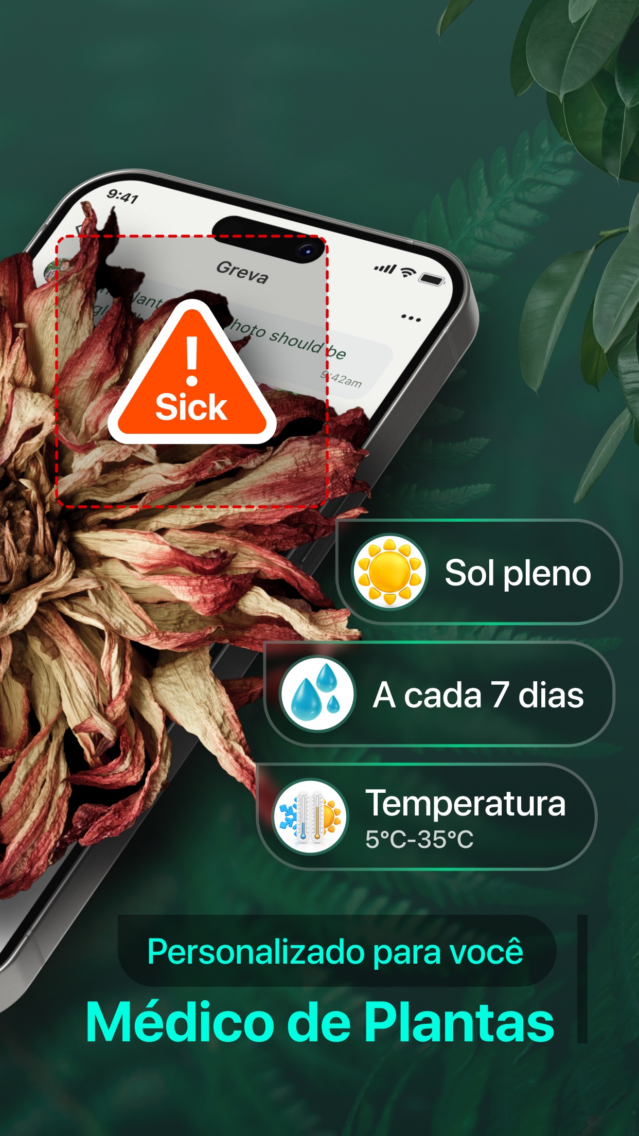 Captura de ecrã 2 da app PlantAI-Identificador&Cuidados