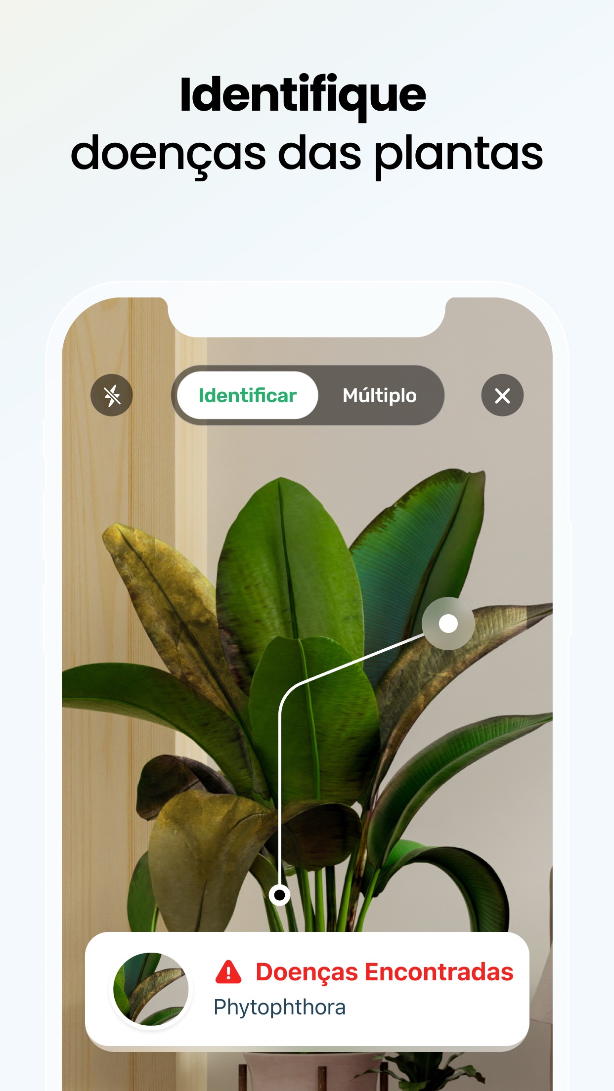 Captura de ecrã 3 da app PlantApp – Identifica plantas
