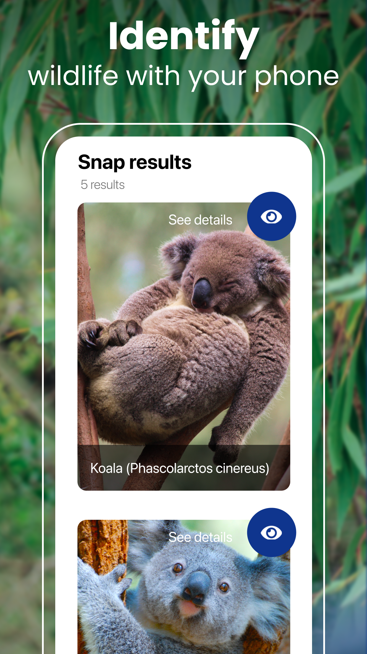 Captura de ecrã 2 da app Plant ID & Identification