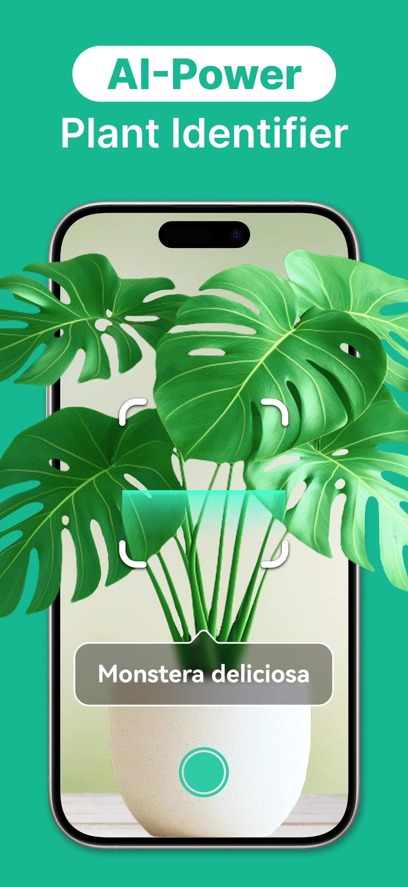 Captura de ecrã 1 da app AI Plant Identifier·Care Guide
