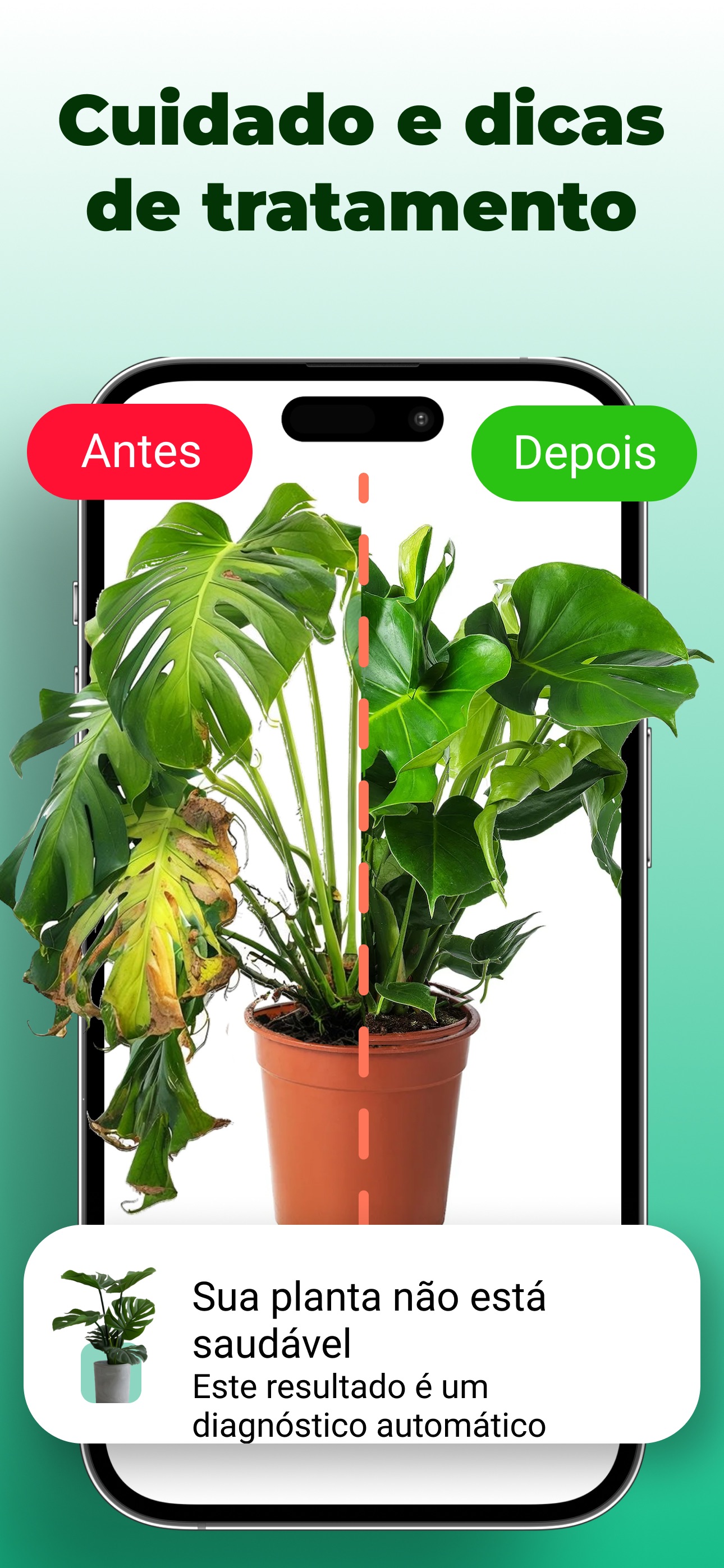 Captura de ecrã 2 da app Identificador de Plantas: