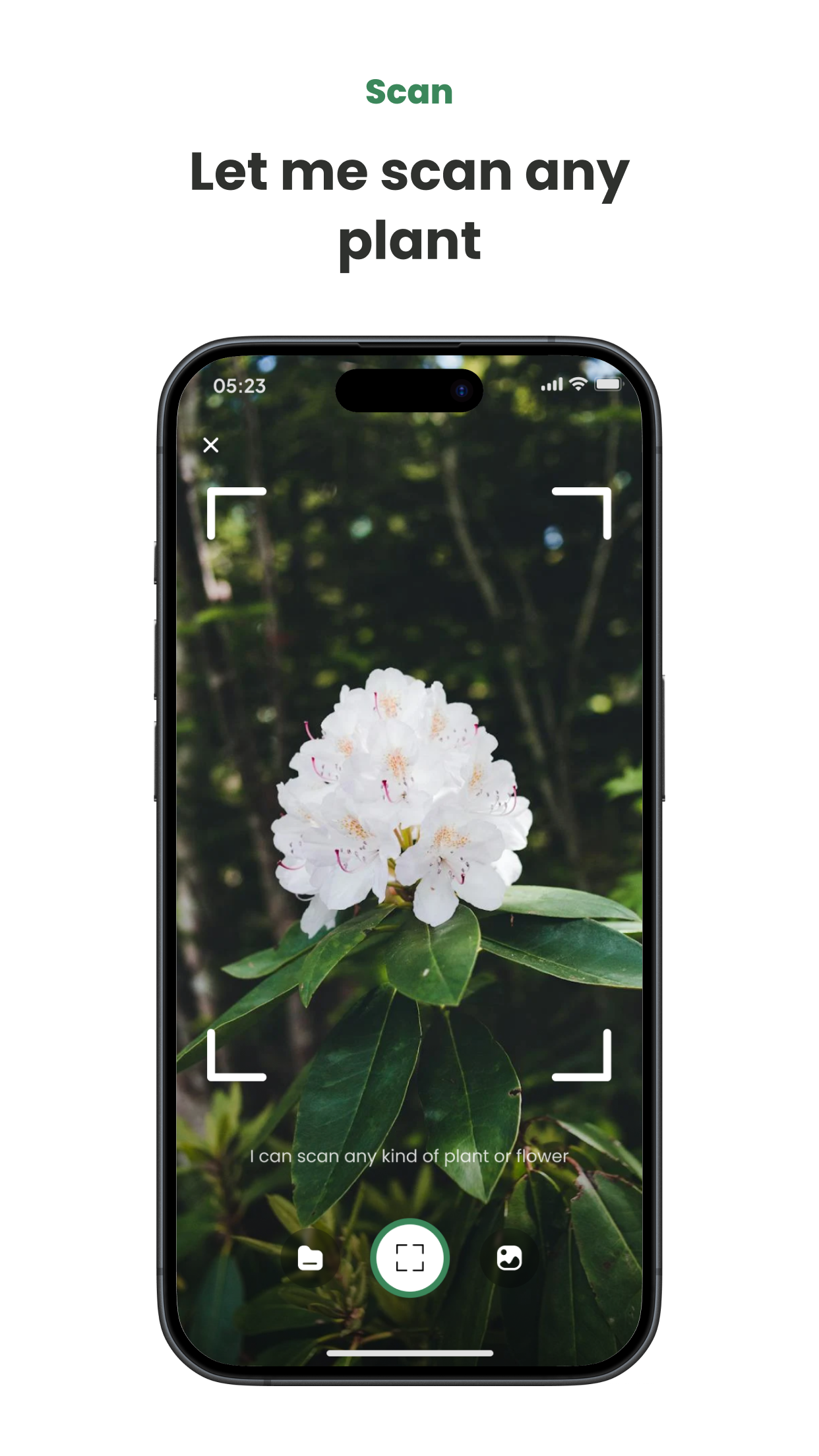 Captura de ecrã 2 da app Dr. Green・Plant Identifier