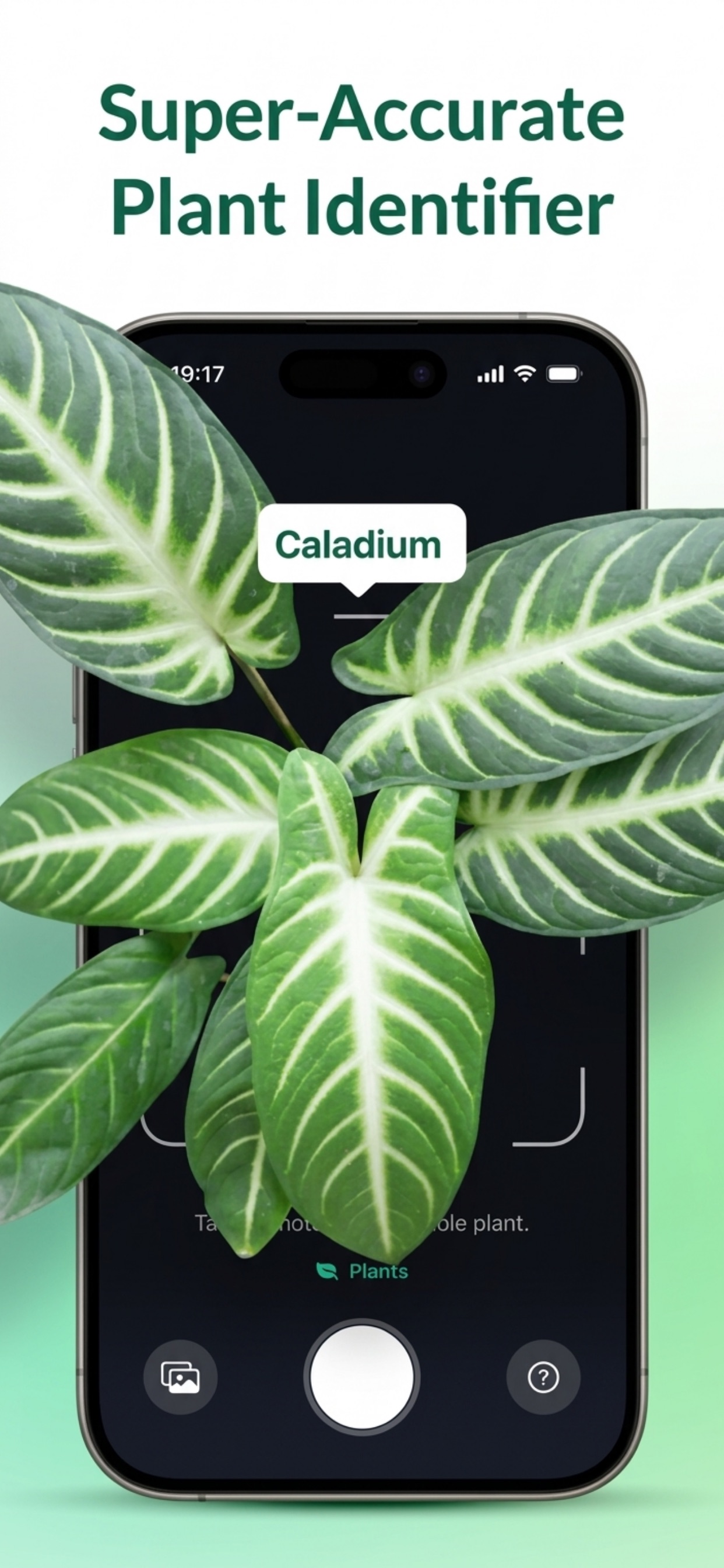 Captura de ecrã 1 da app PlantIt: Plant Identifier・Care