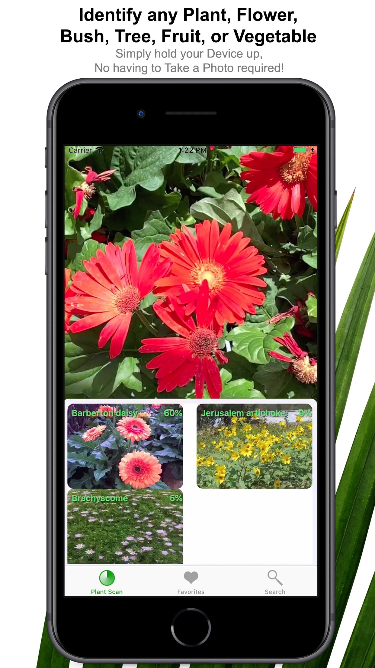 Captura de ecrã 1 da app Plant Scan - Identification