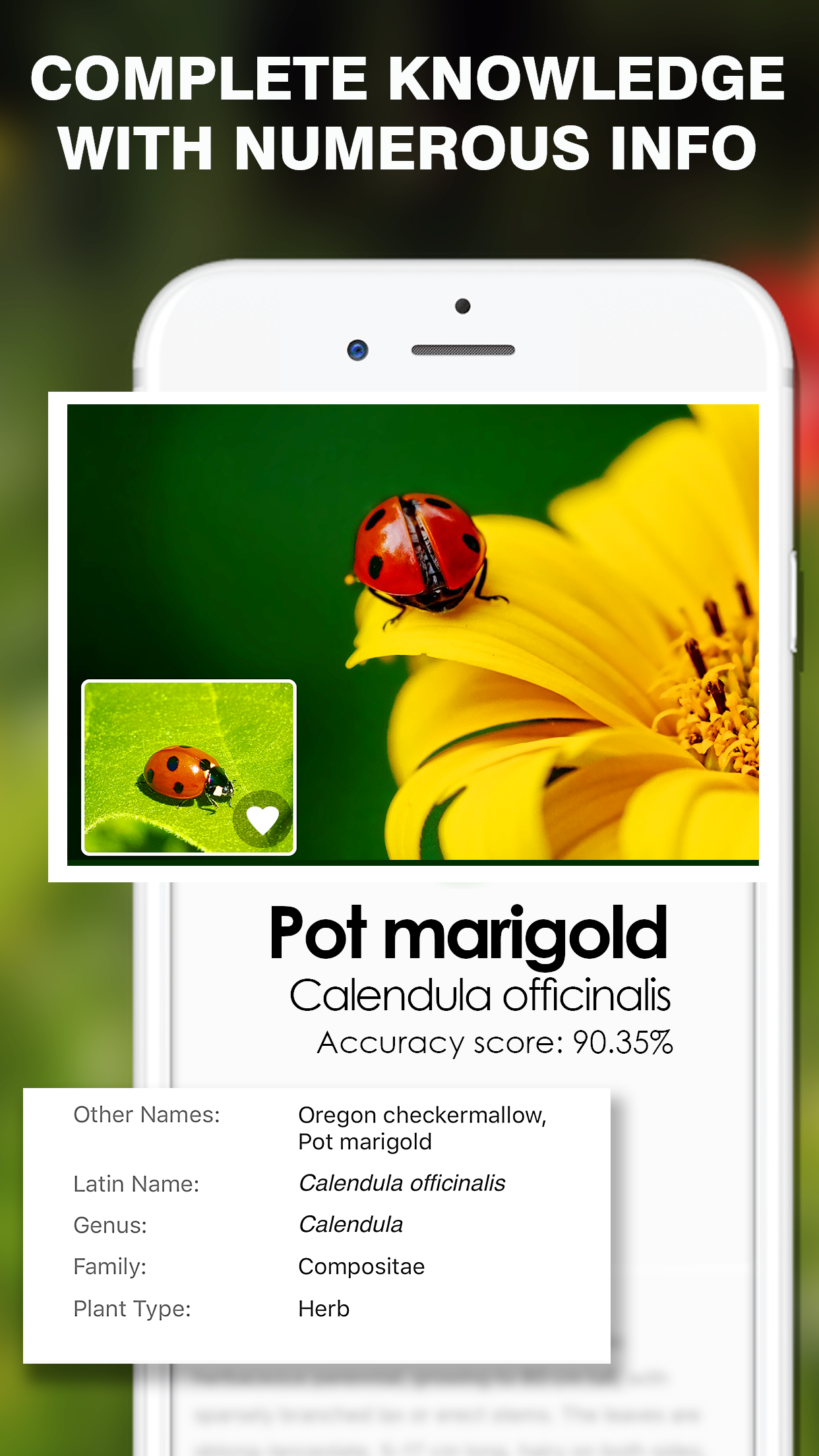 Captura de ecrã 1 da app Smart Identifier: Plant+Insect