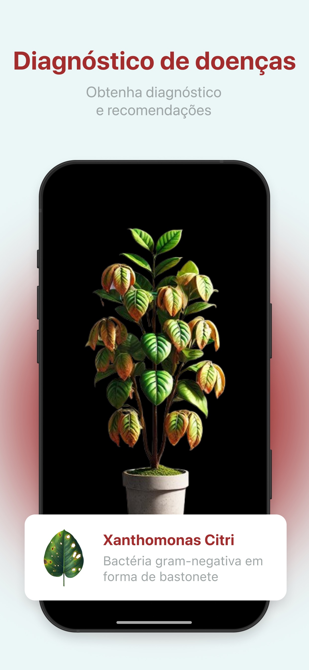 Captura de ecrã 4 da app Identificador de plantas
