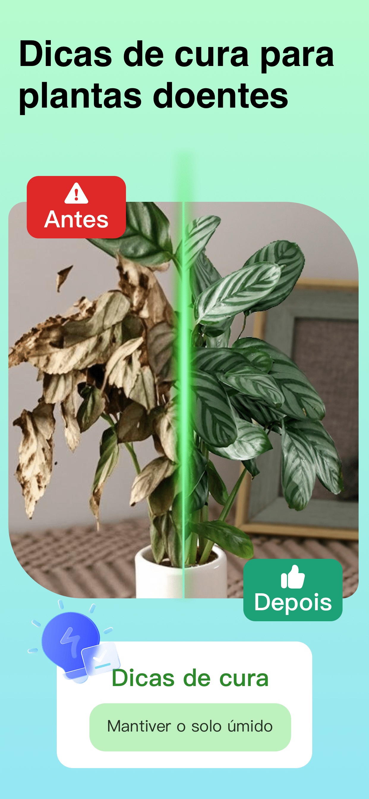 Captura de ecrã 4 da app Plant Identifier: ChatPlant AI