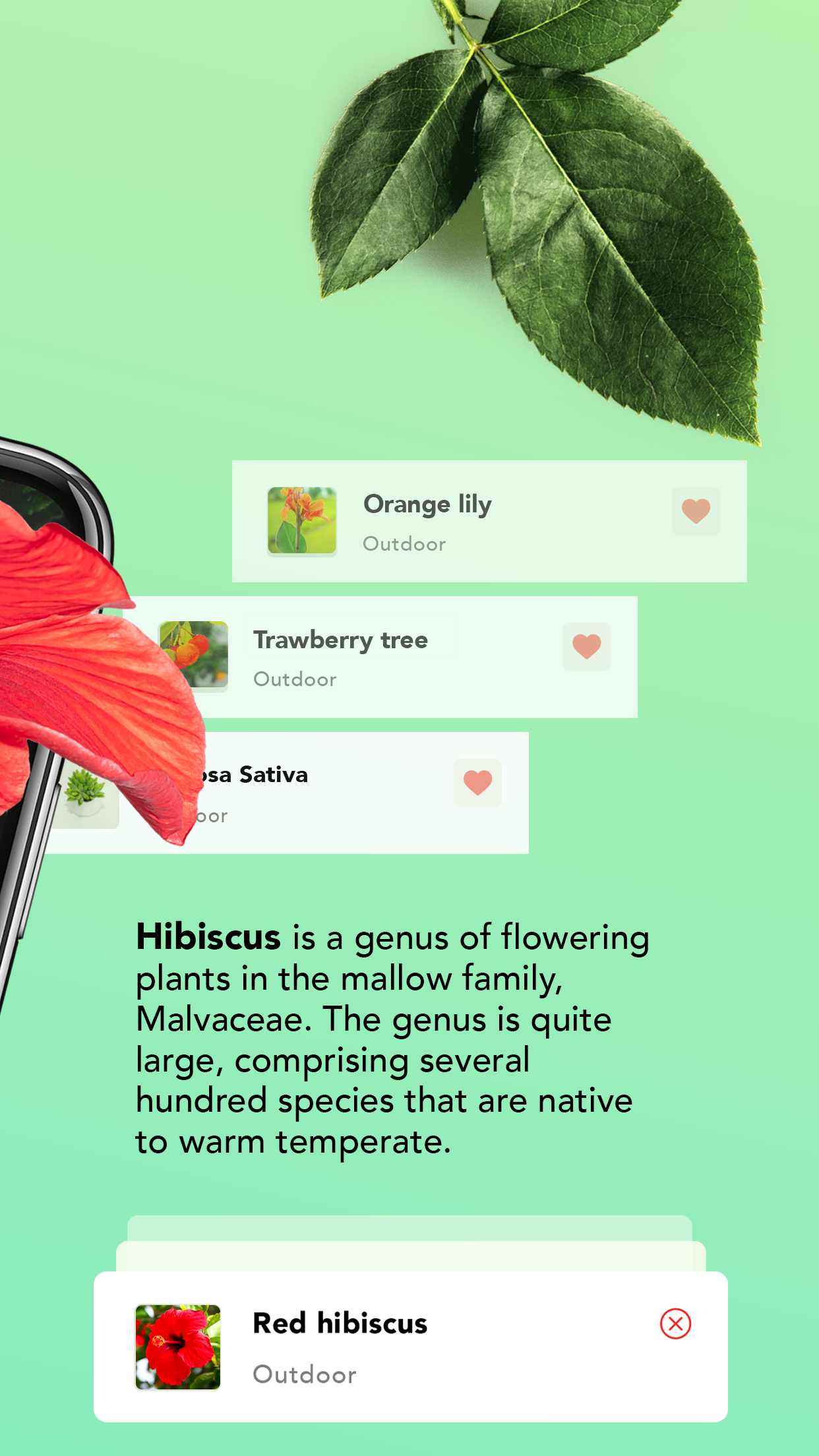 Captura de ecrã 2 da app Identificador de plantas - Net