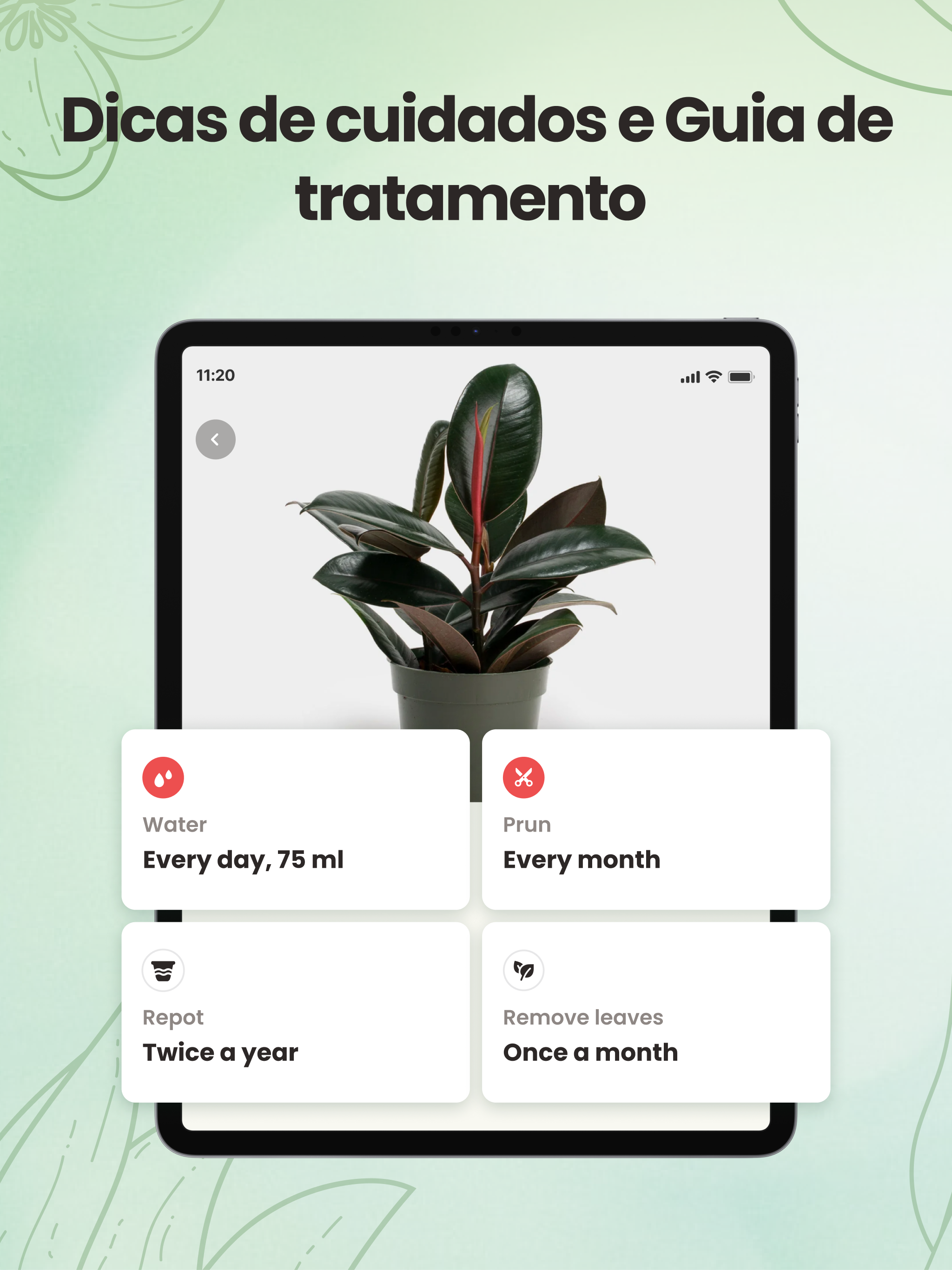 Captura de ecrã 4 da app Identificador－Plantas e Flores