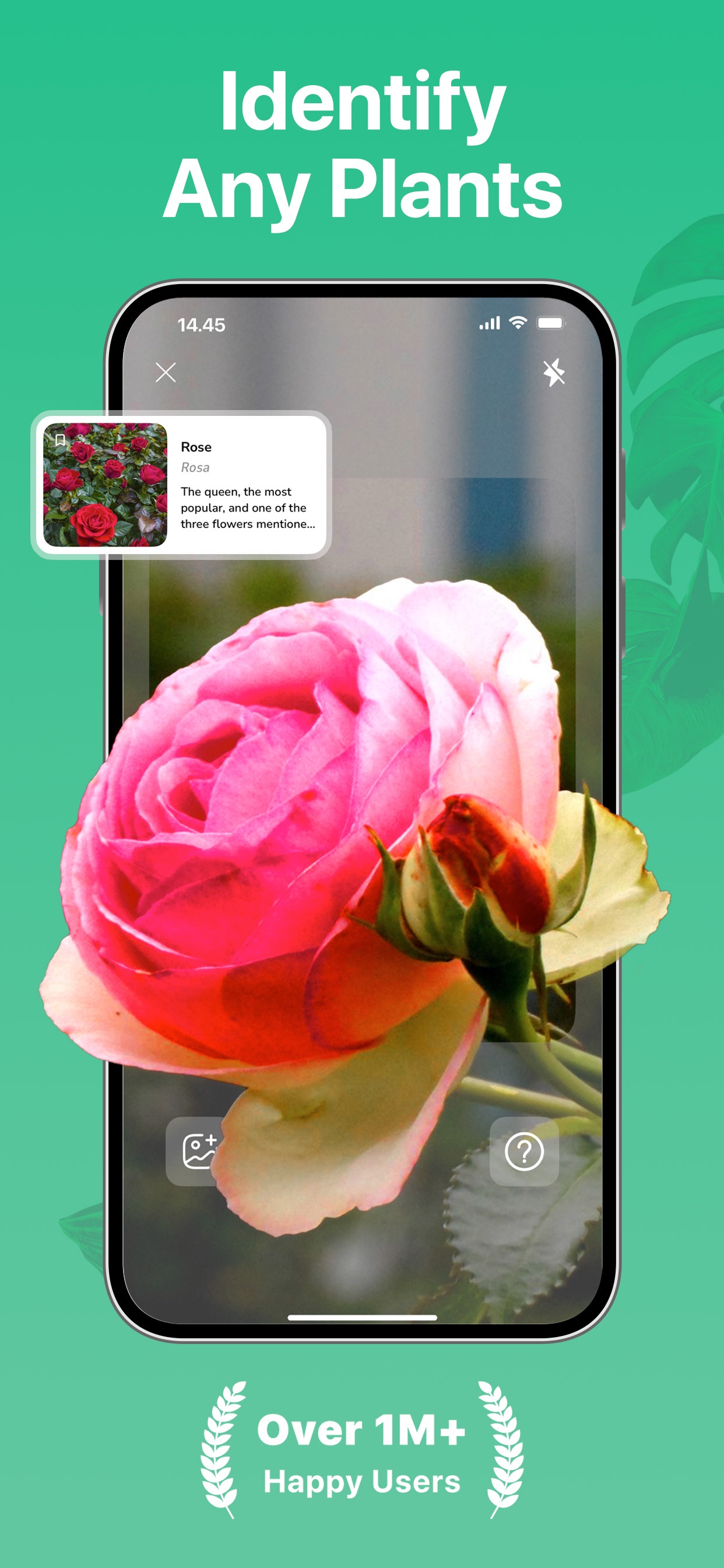 Captura de ecrã 1 da app Identificador de Plantas ·