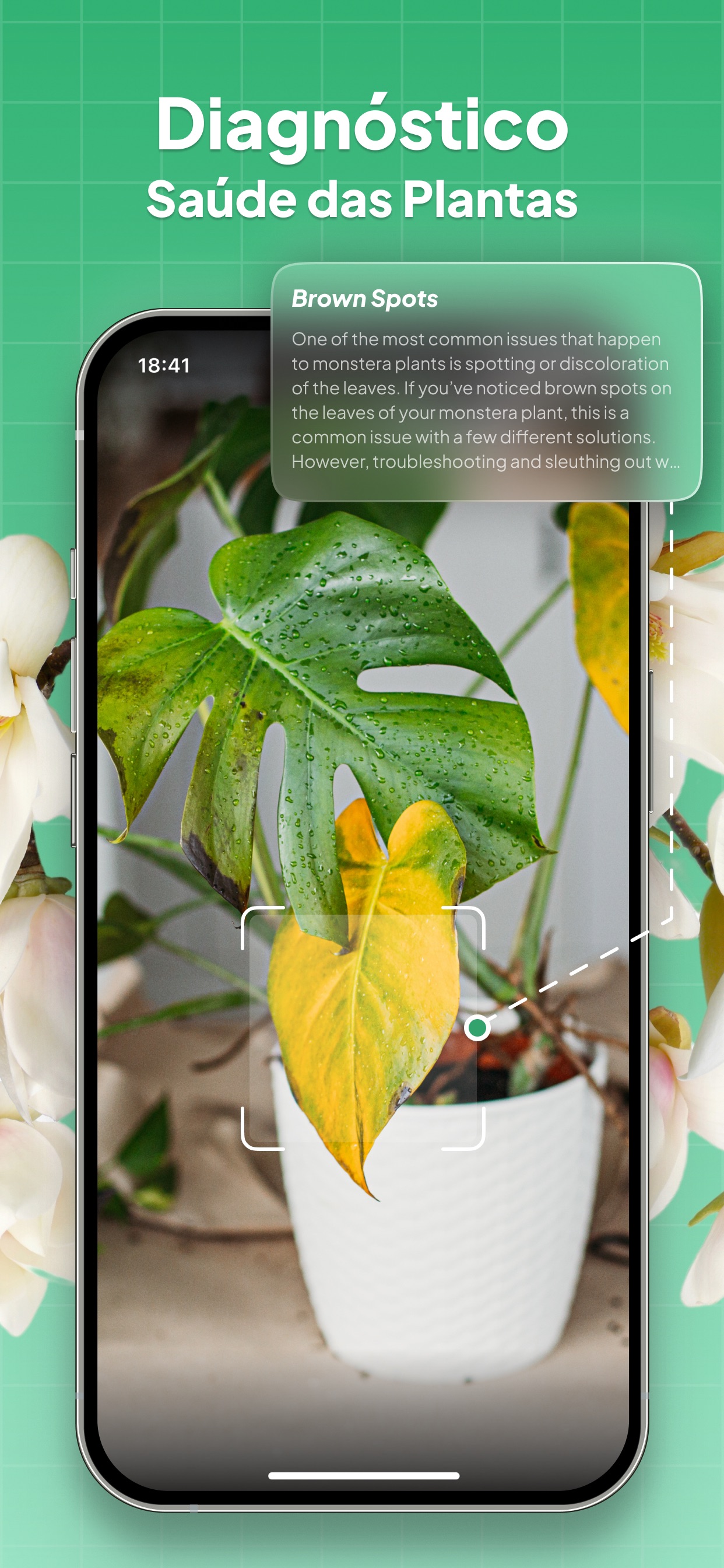 Captura de ecrã 3 da app Identificar Plantas: LeafSnap