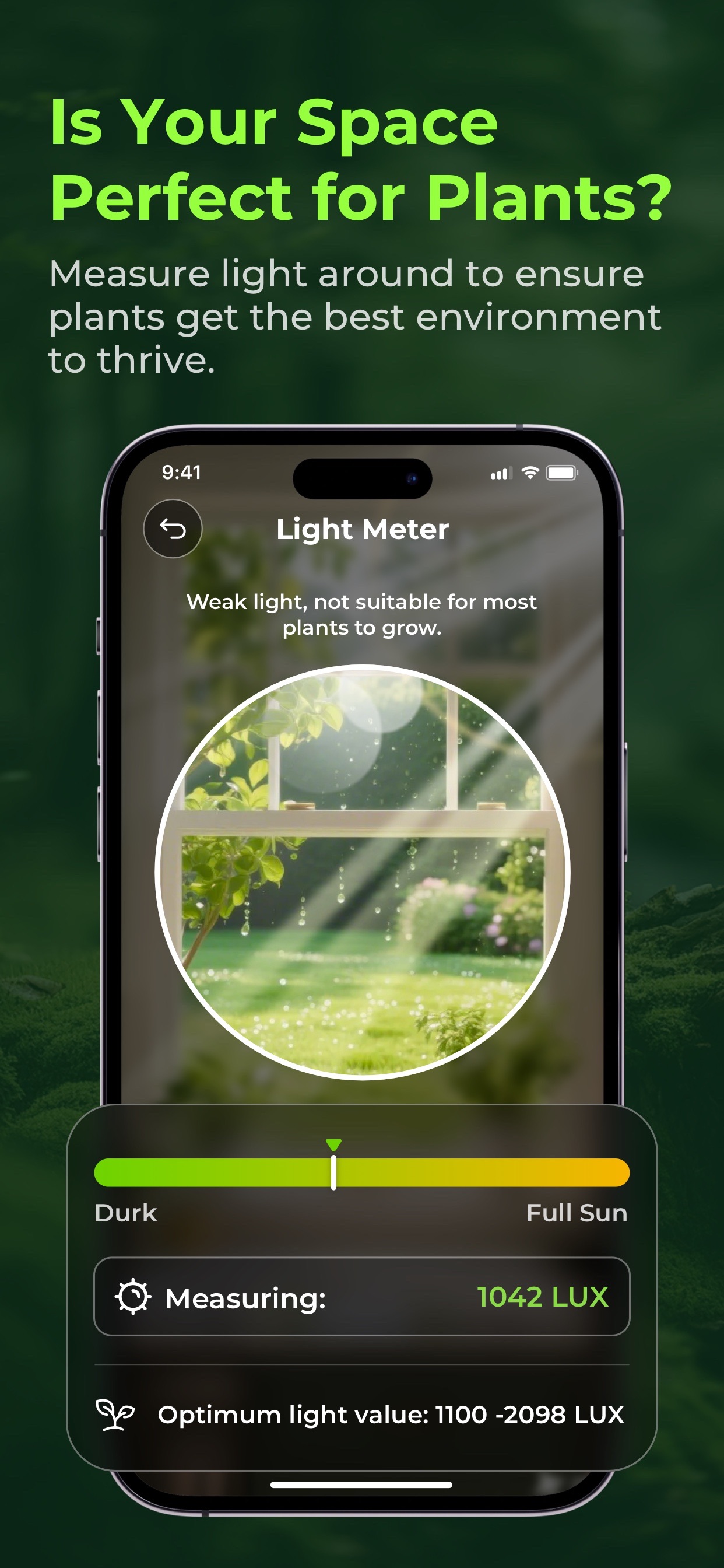 Captura de ecrã 2 da app PlantLoom：Plant Identifier