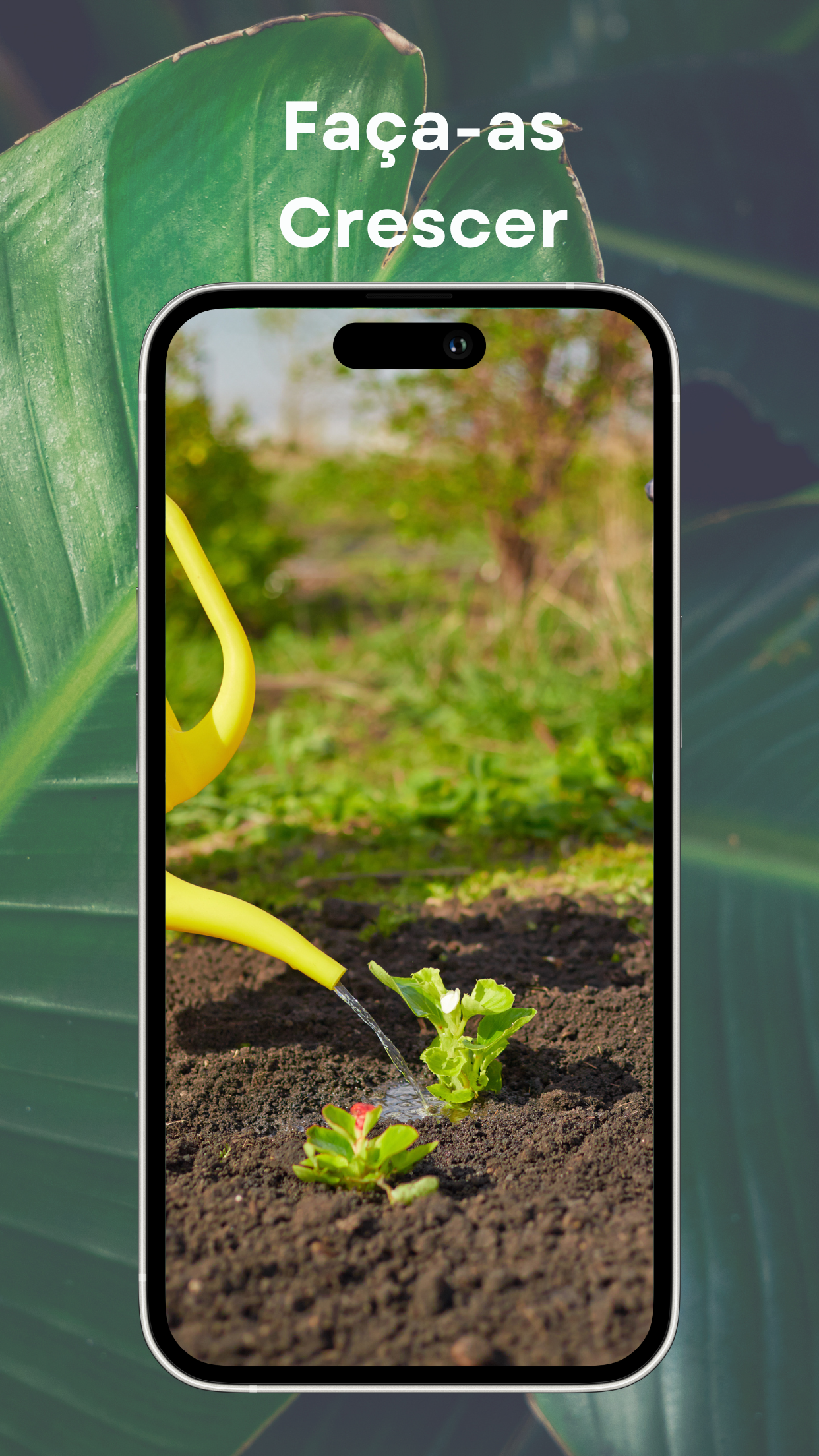 Captura de ecrã 4 da app Reconhecer Plantas - Petals