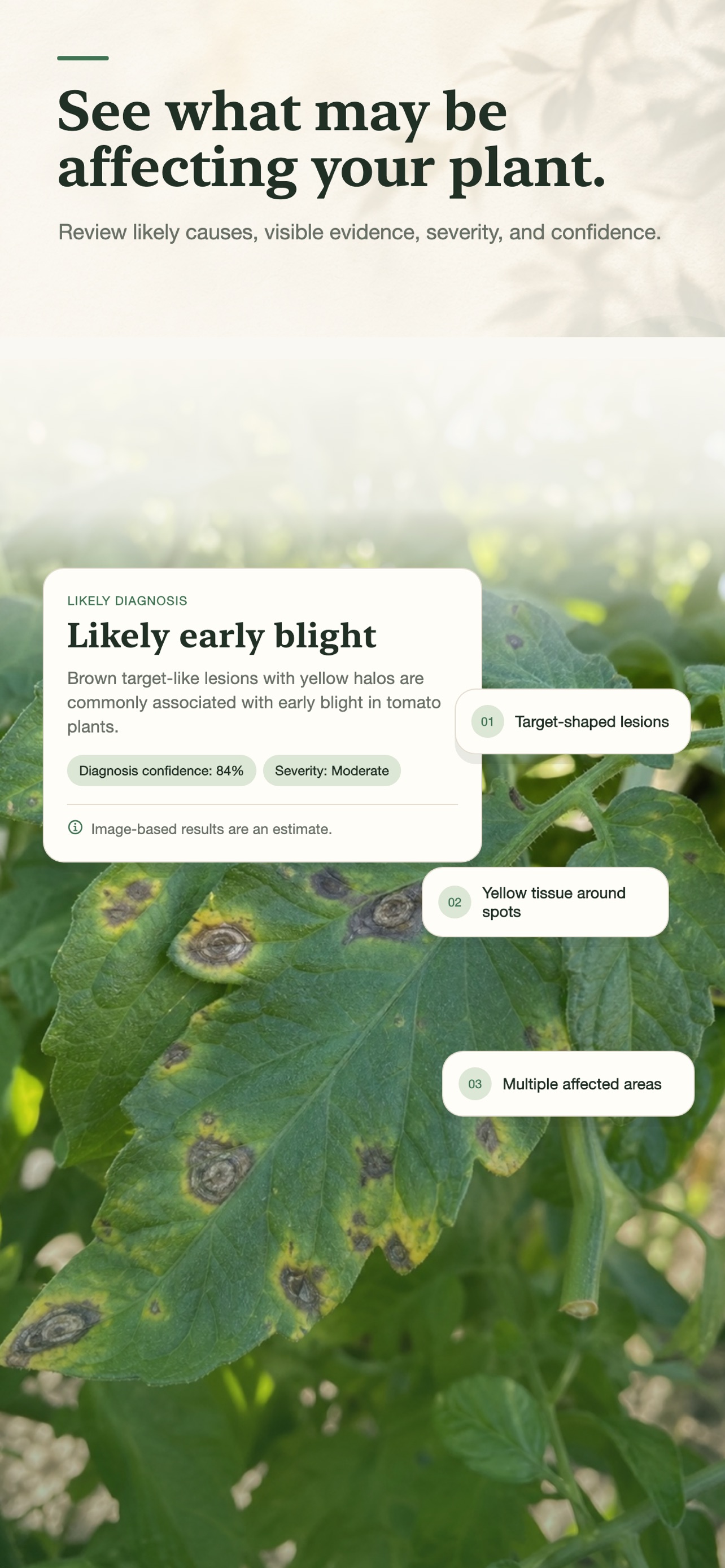 Captura de ecrã 3 da app Cambium: Plant Identifier