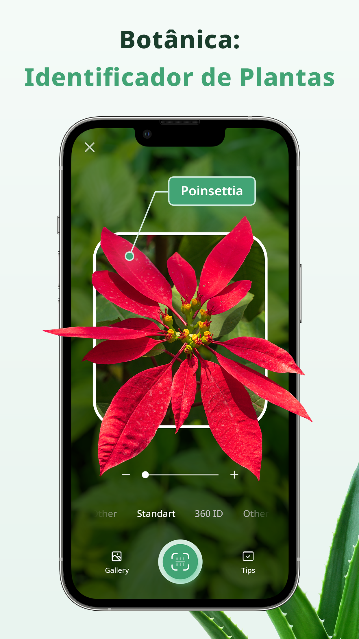 Captura de ecrã 1 da app Botanica ID - Plant Identifier