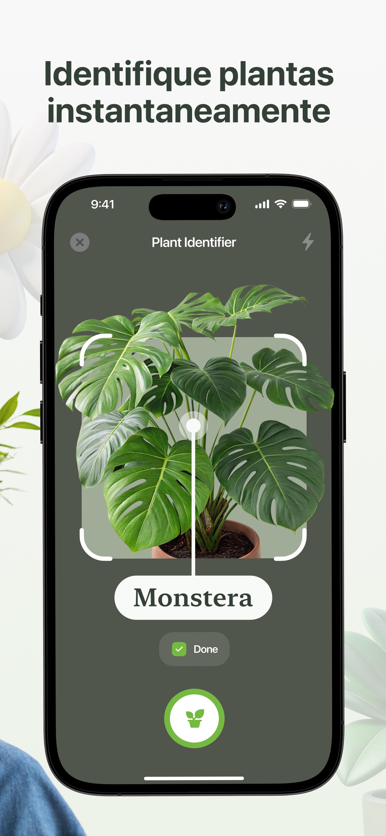 Captura de ecrã 2 da app Plantity: Identificar Plantas