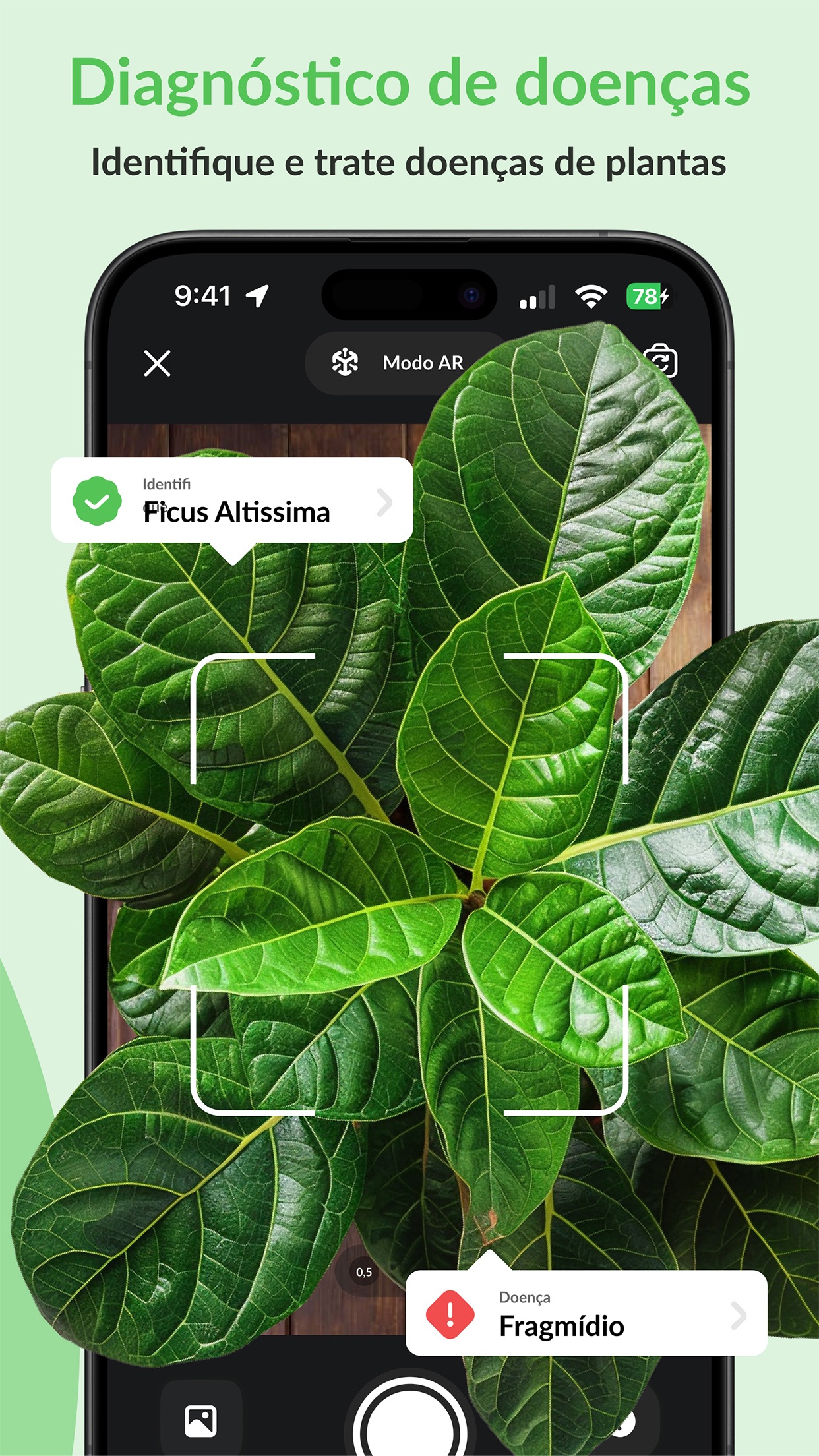 Captura de ecrã 2 da app Plantoo: Cuidado & Plantas ID