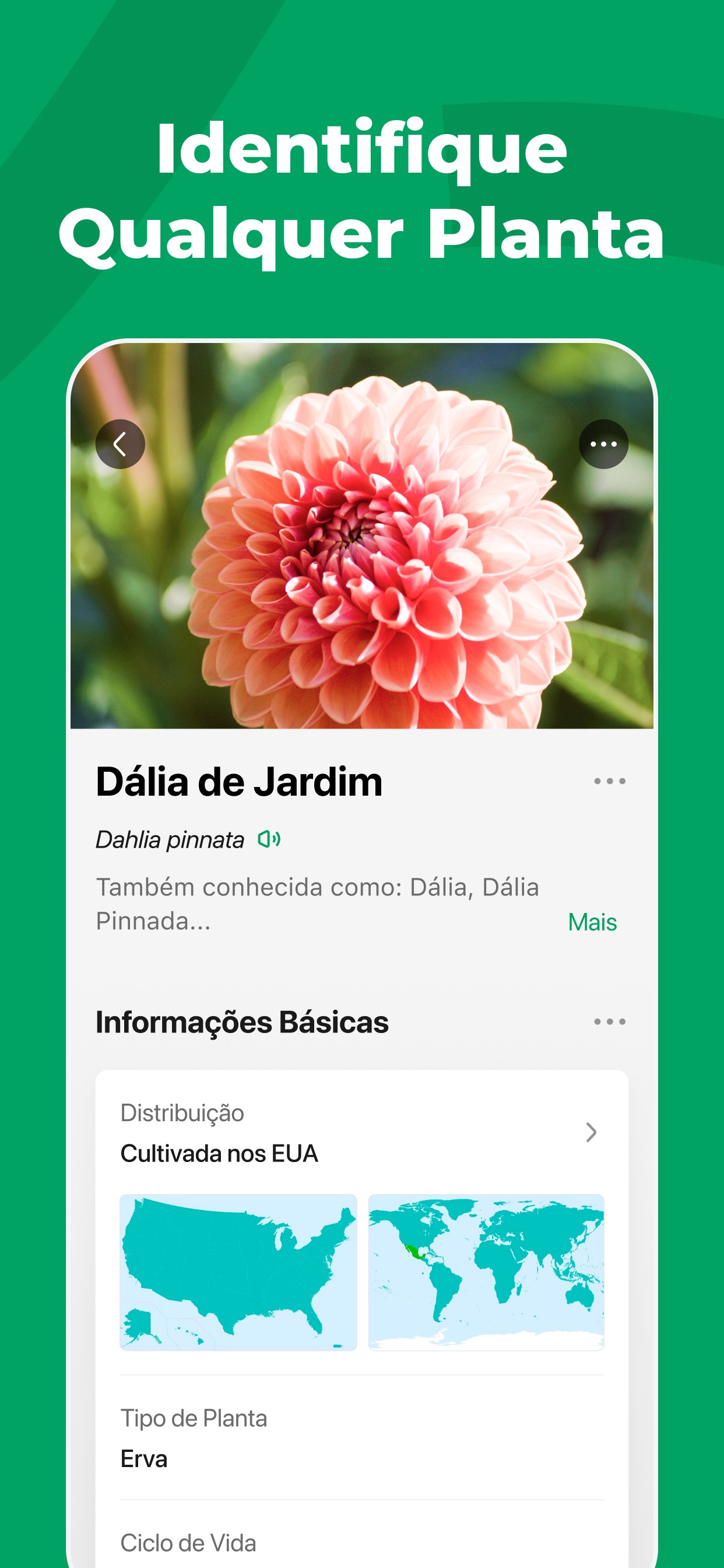 Captura de ecrã 2 da app PictureThis - Flores e Árvores