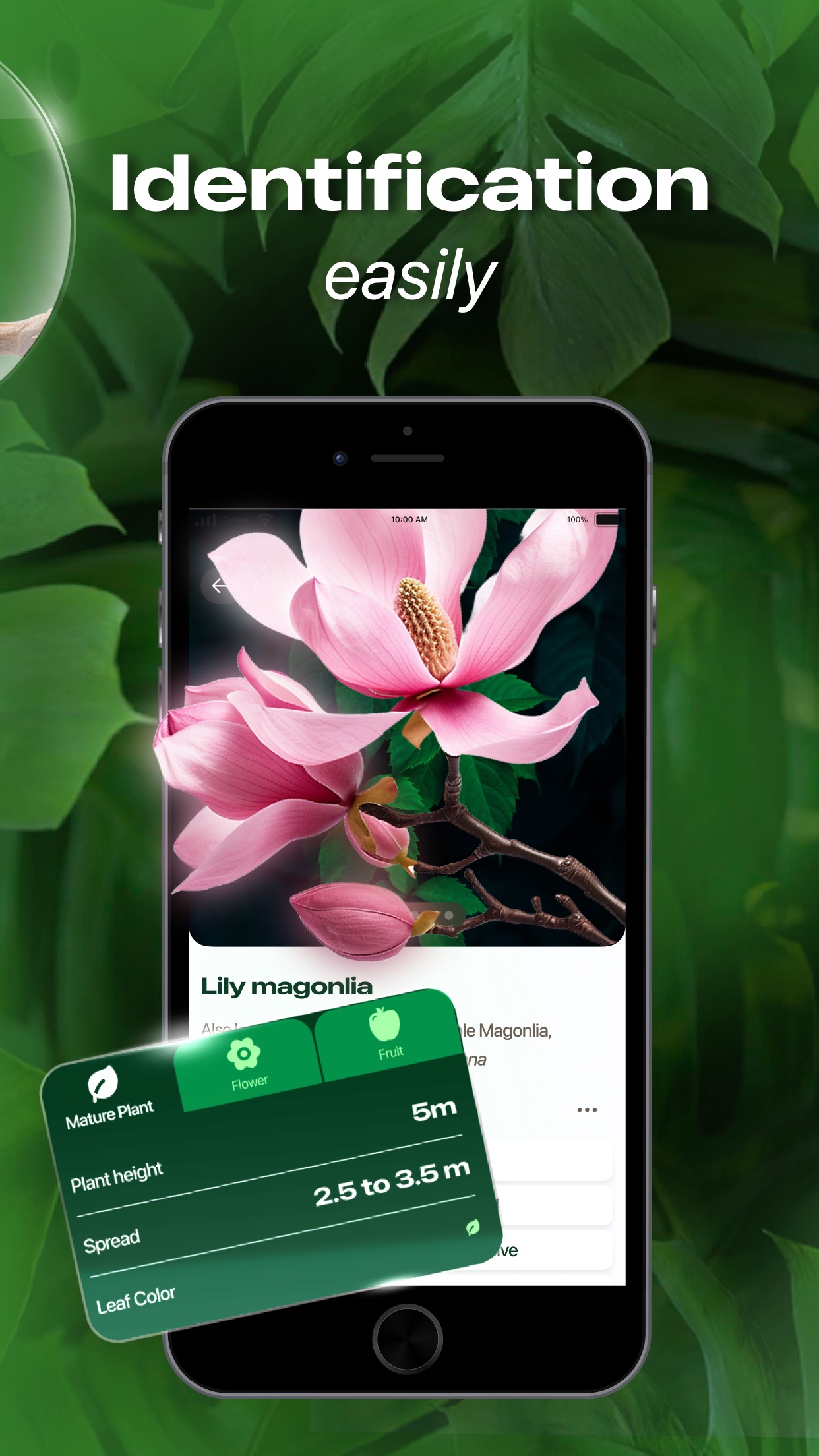 Captura de ecrã 3 da app Nature ID - Plant Identifier