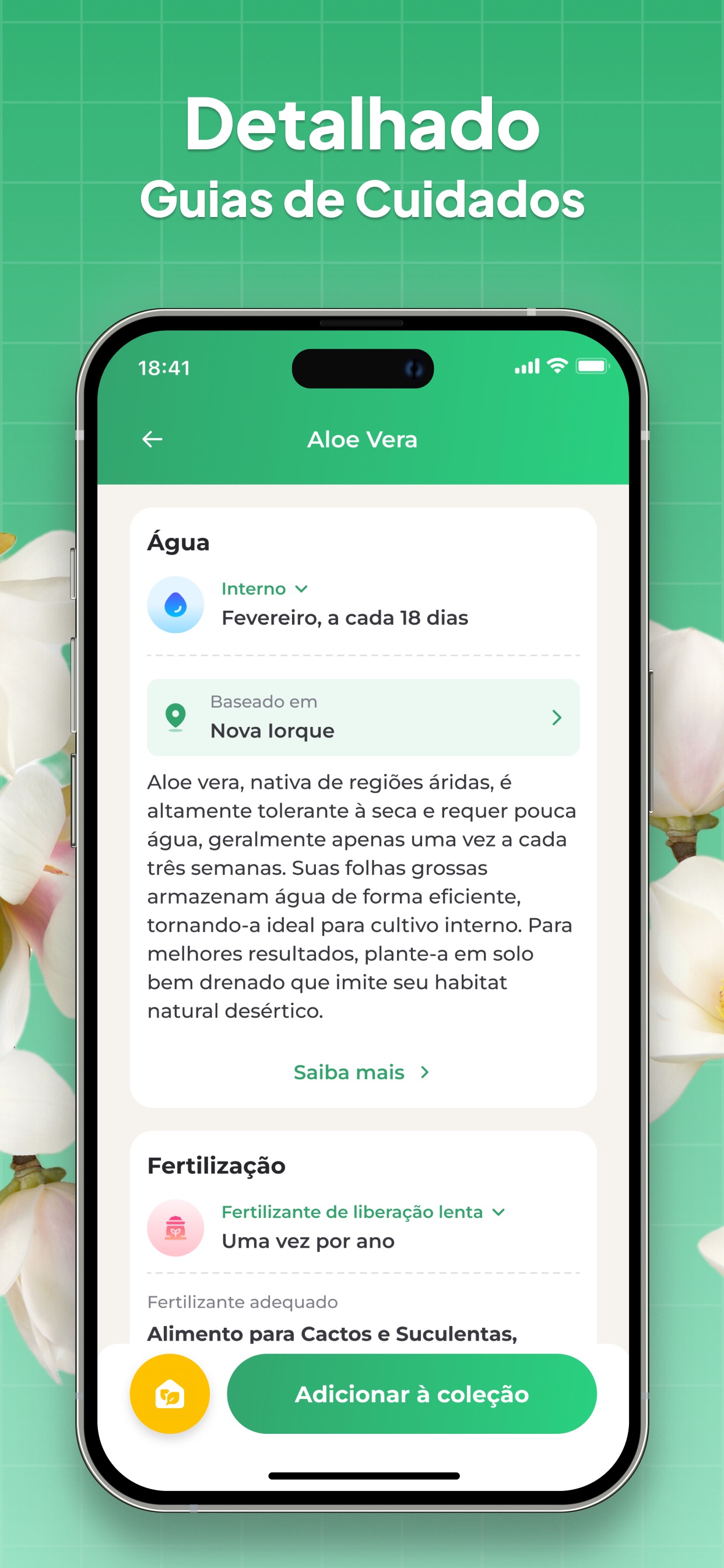 Captura de ecrã 4 da app Identificar Plantas: LeafSnap
