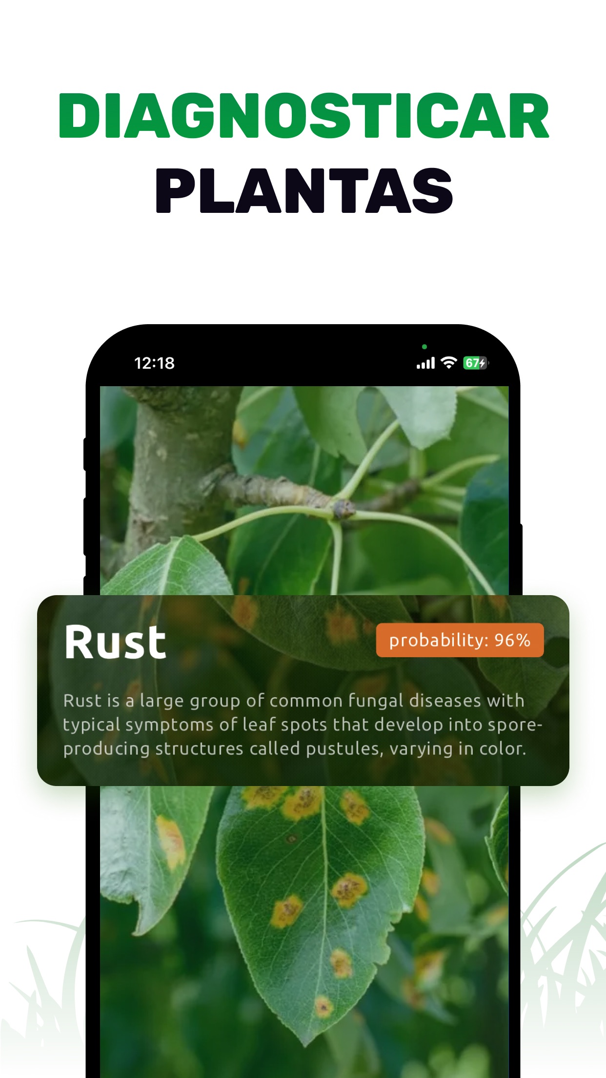 Captura de ecrã 2 da app Identificação de plantes