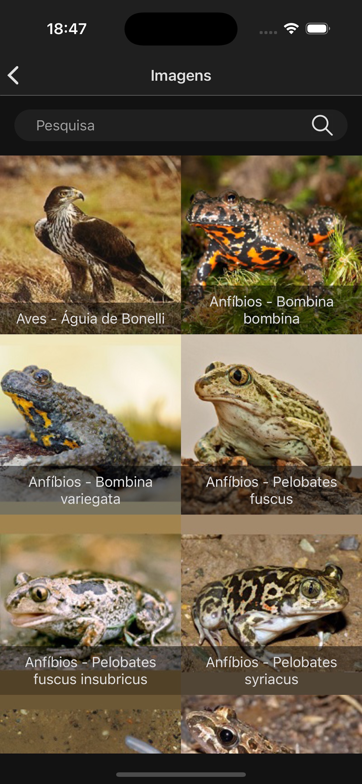 Captura de ecrã 4 da app GestO