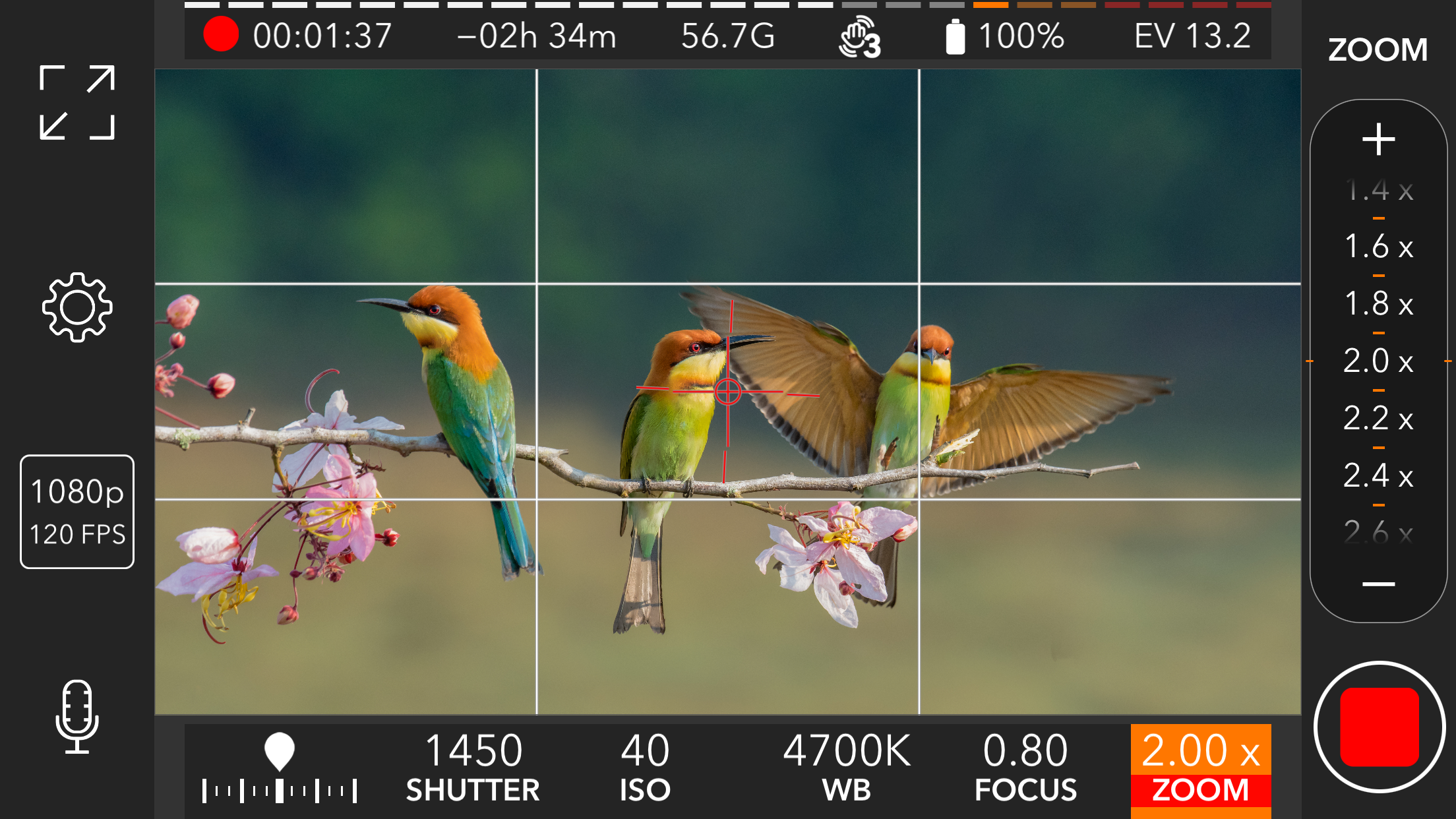 Captura de ecrã 3 da app ProMovie Recorder +