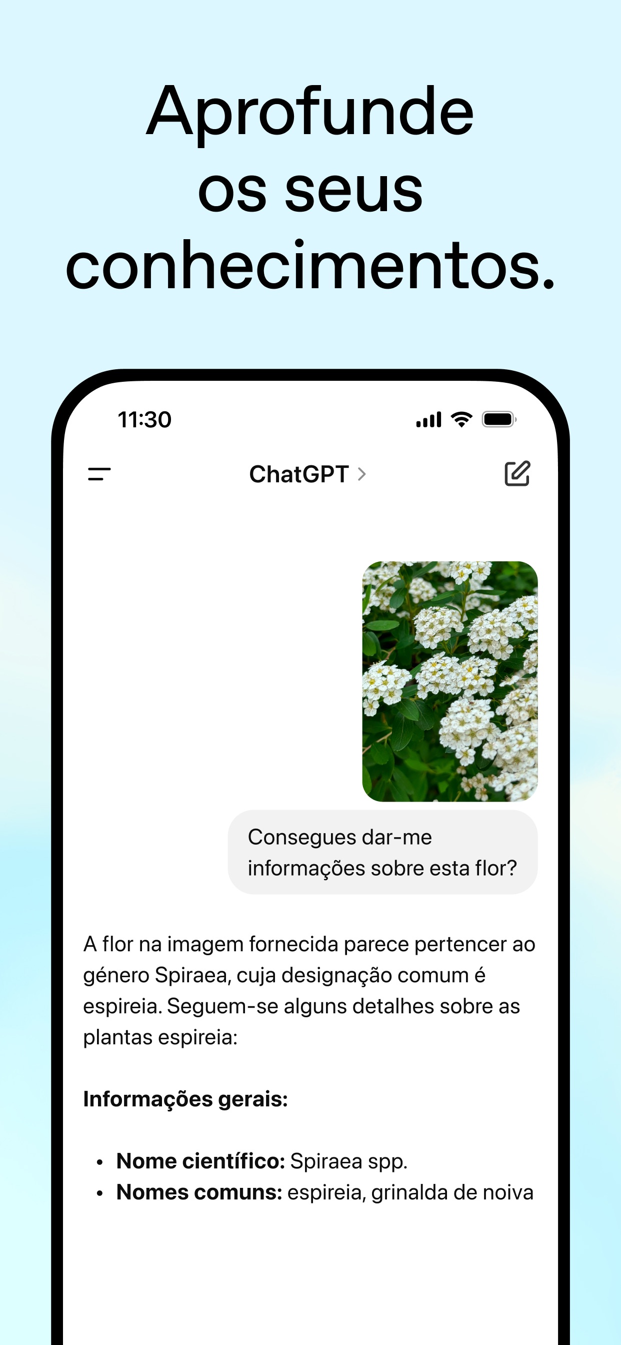 Captura de ecrã 4 da app ChatGPT