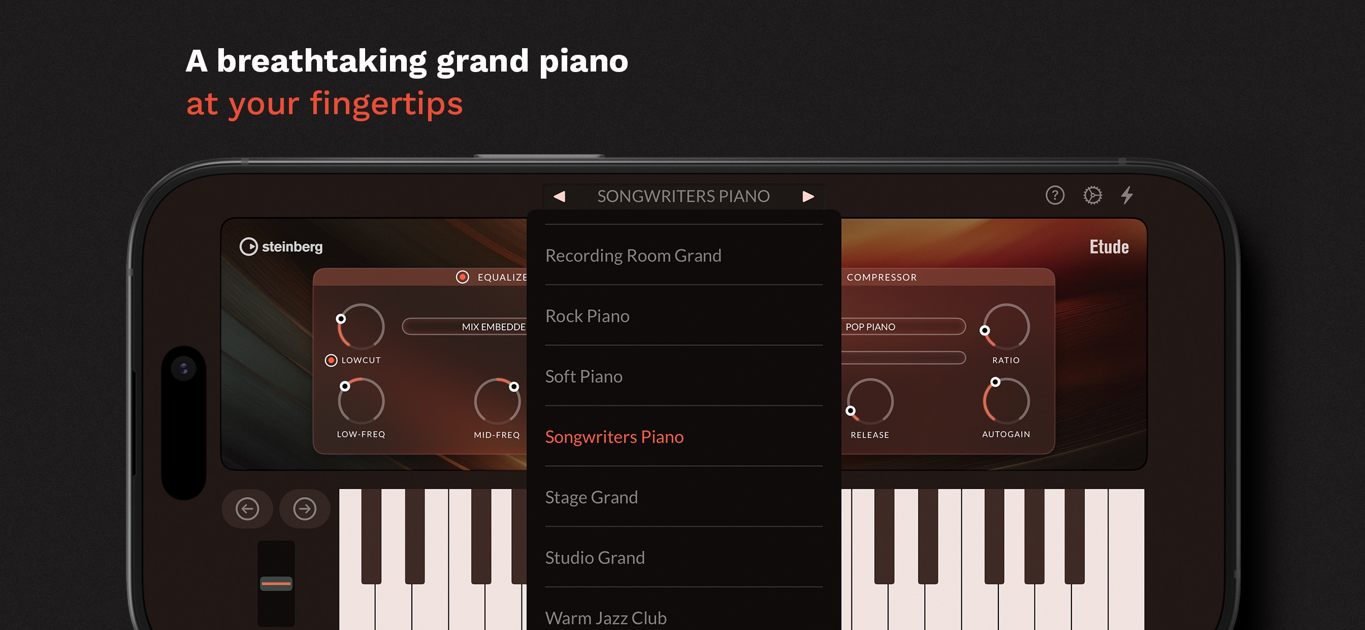 Captura de ecrã 2 da app Etude - Grand Piano App & AUv3