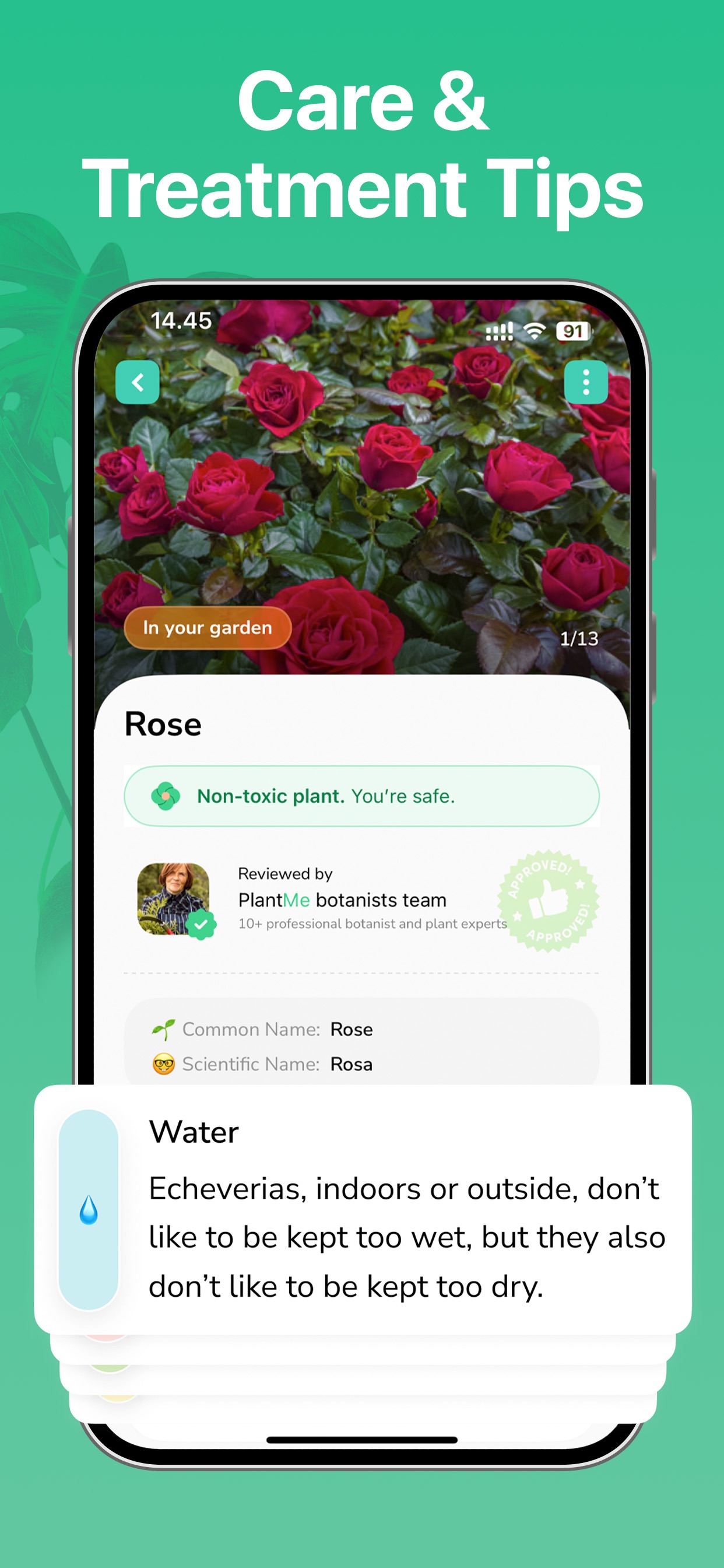 Captura de ecrã 2 da app Identificador de Plantas ·
