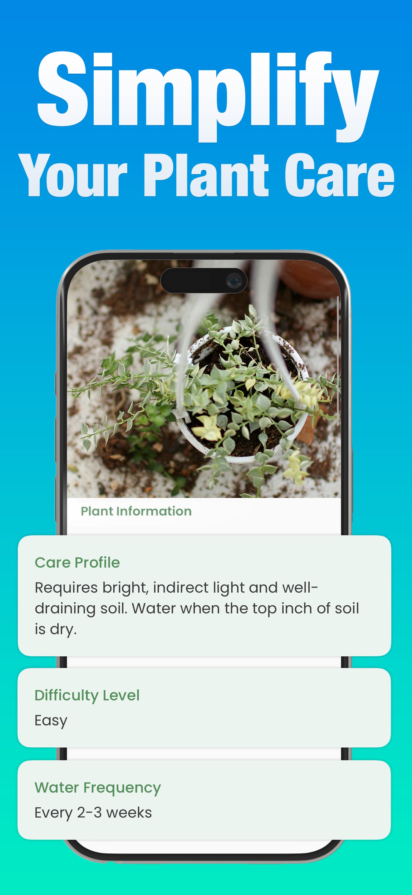 Captura de ecrã 3 da app Plant Identification
