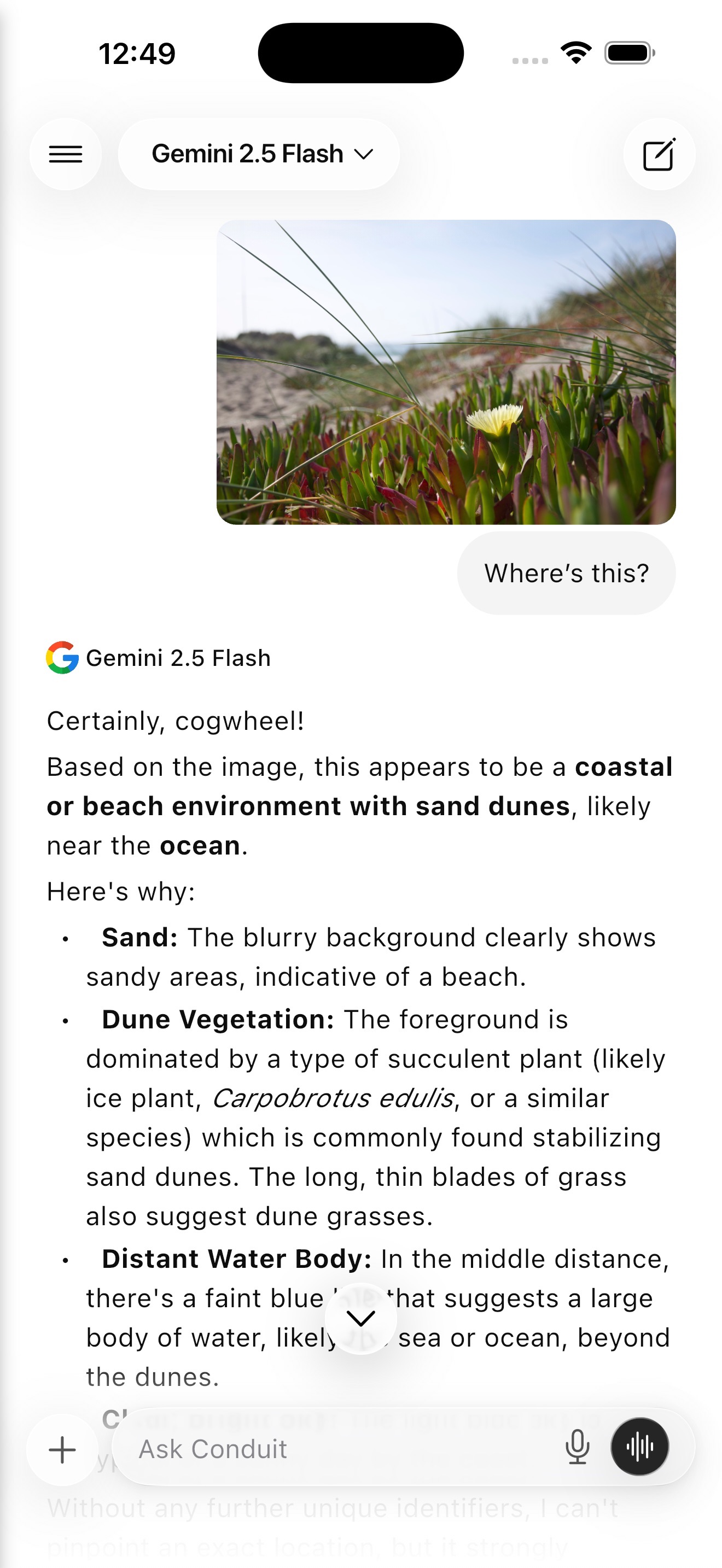 Captura de ecrã 1 da app Conduit: OpenWebUI Client
